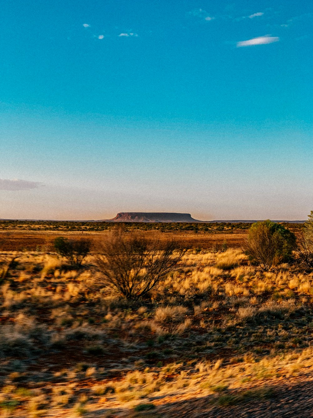 um trem viajando pelo deserto com uma montanha ao fundo