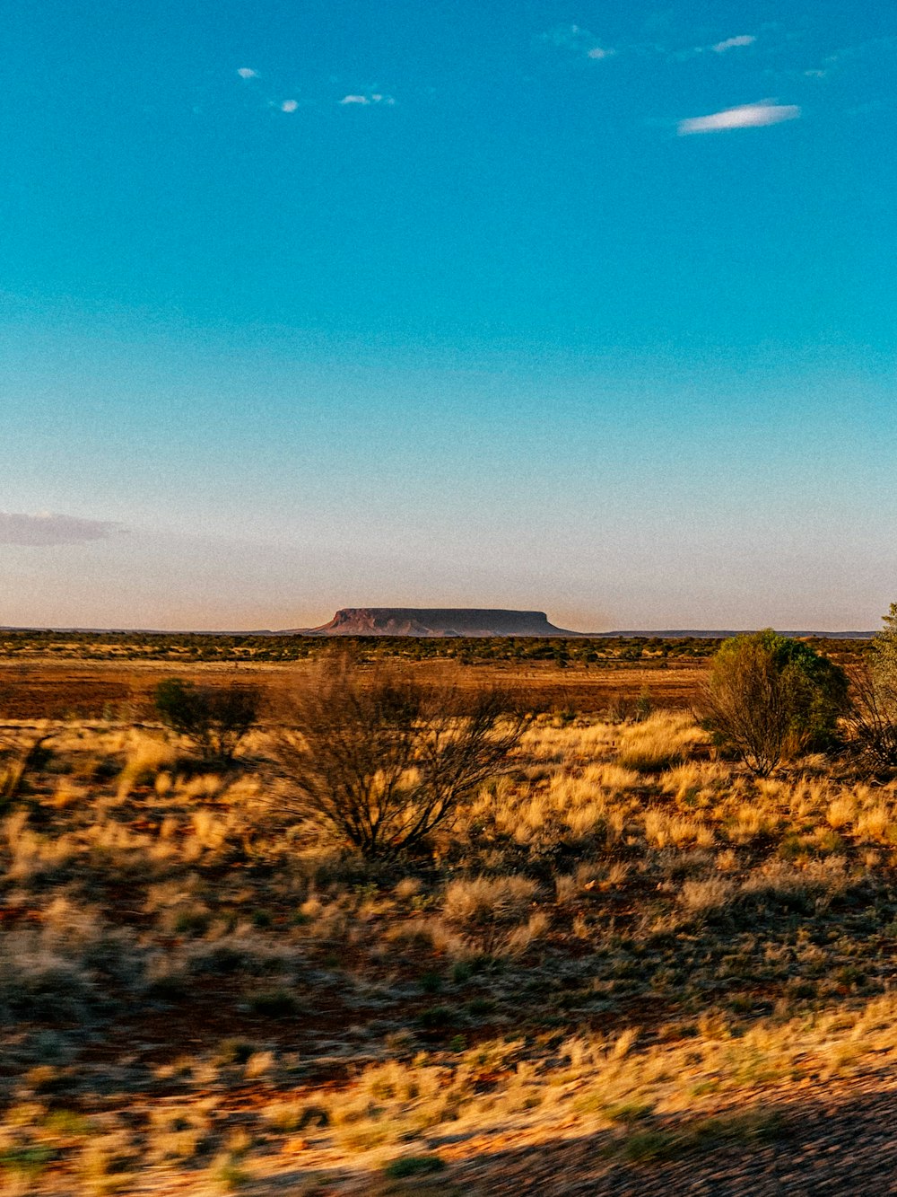 Ein Zug fährt durch die Wüste mit einem Berg im Hintergrund