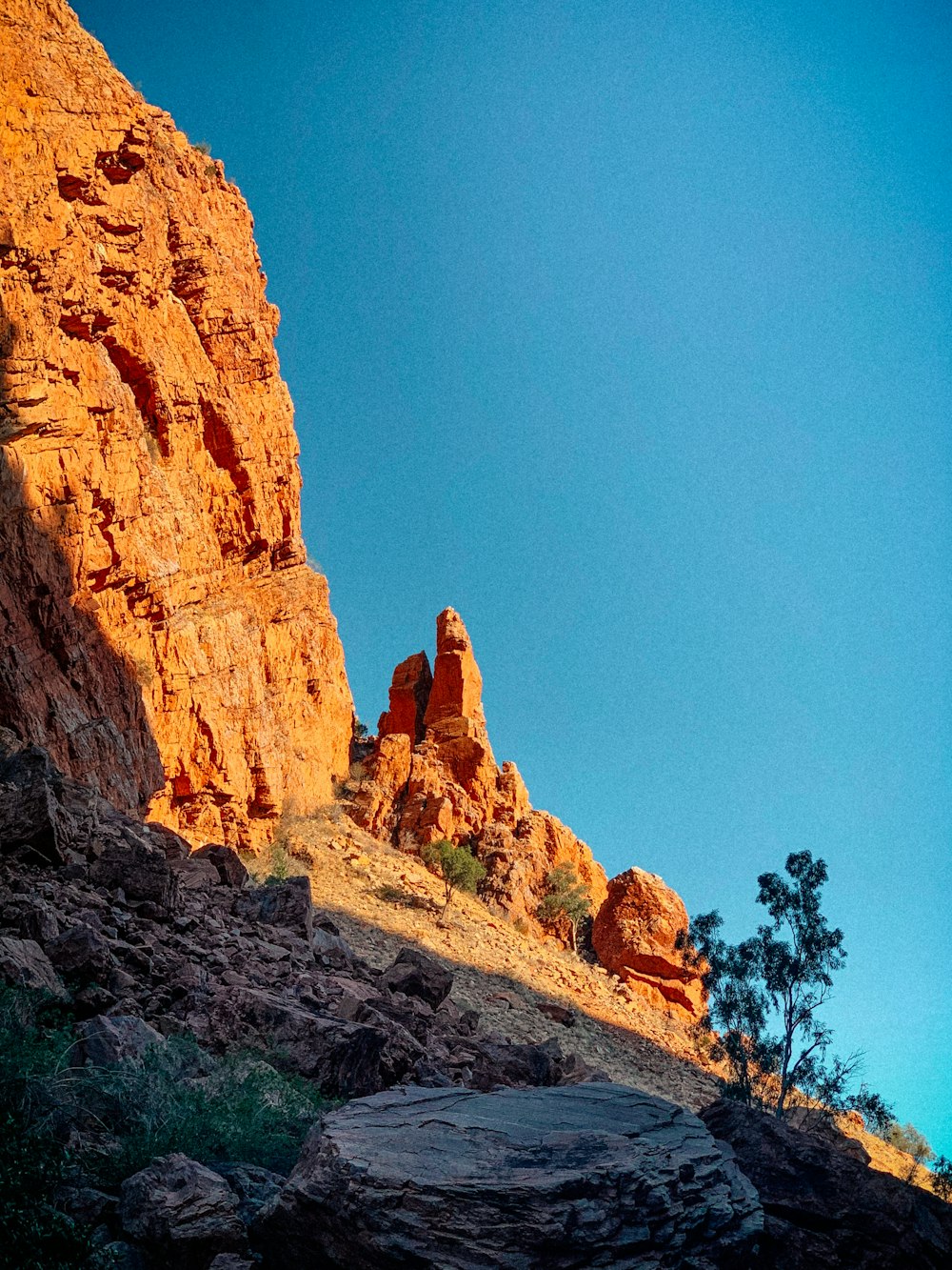 a rocky mountain with a tree on the side of it