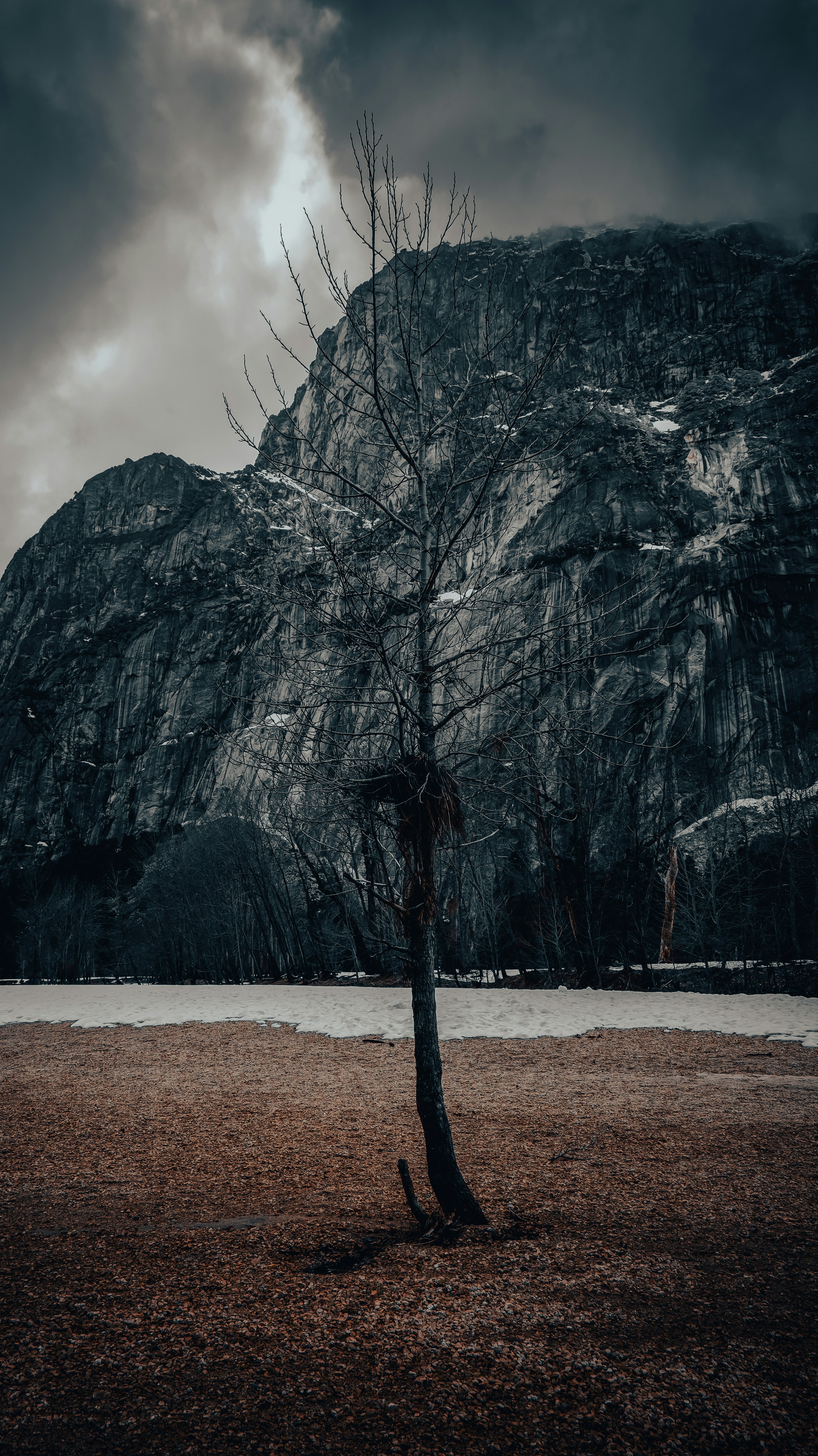 Photo by kalaniparker