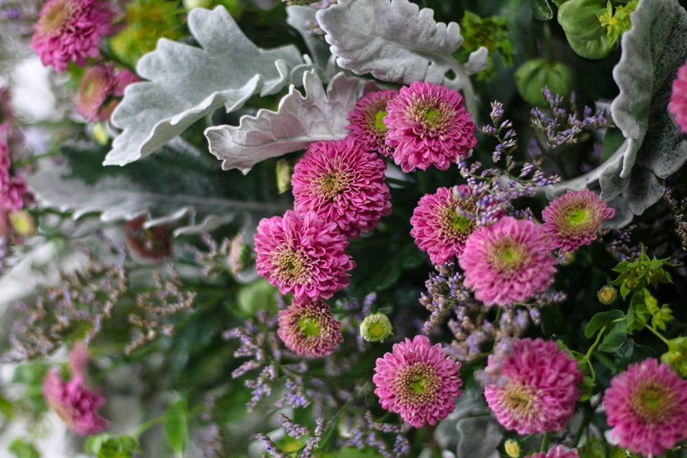 a bunch of pink flowers with green leaves