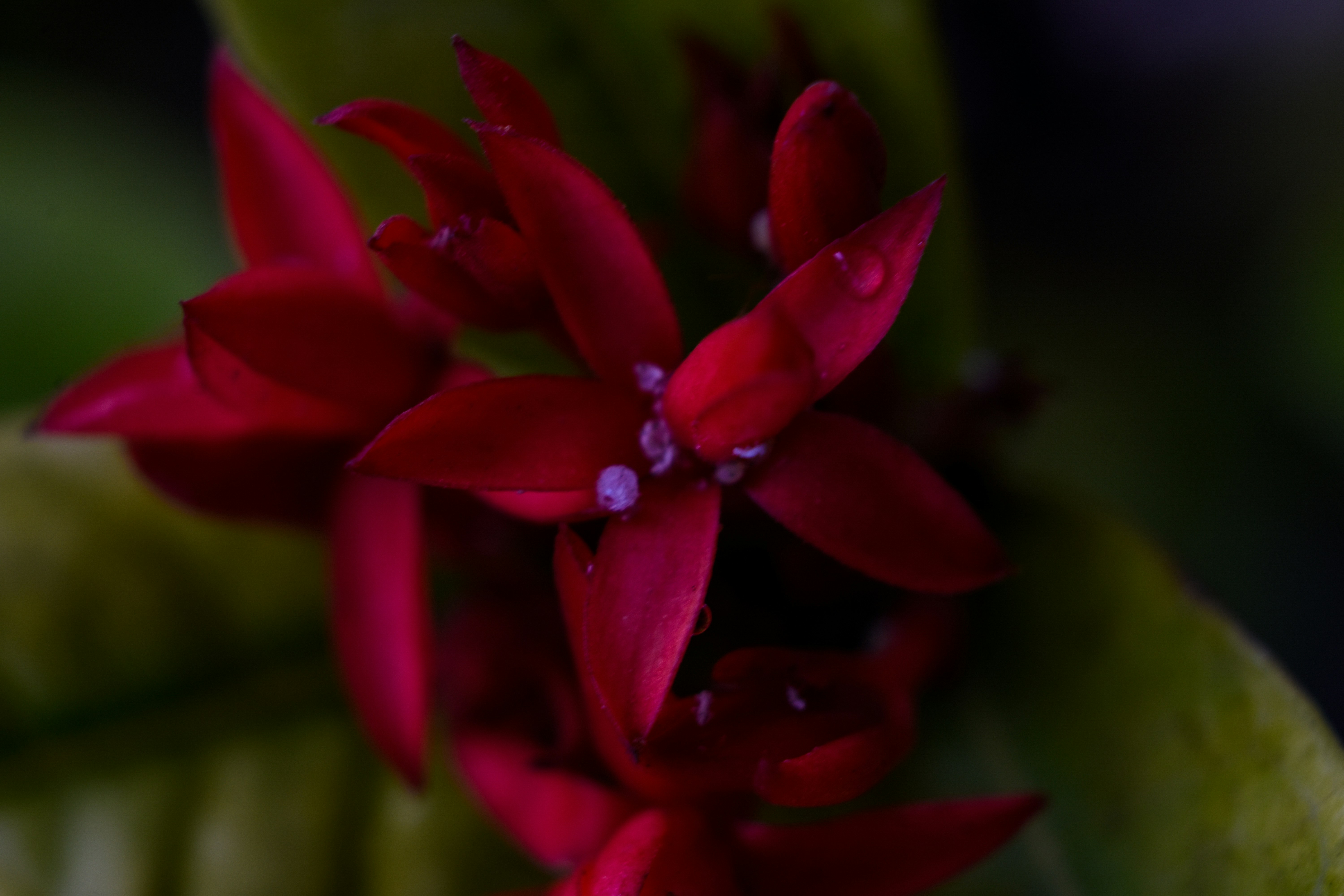 Photo by abhinav_arya