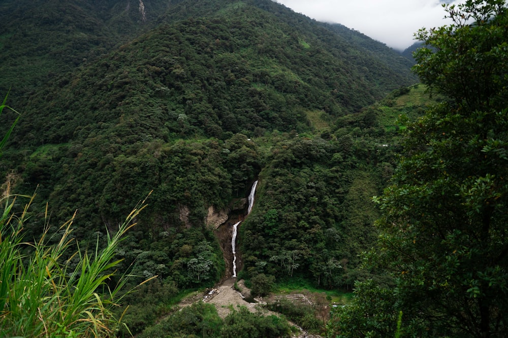 a waterfall in the middle of a lush green forest