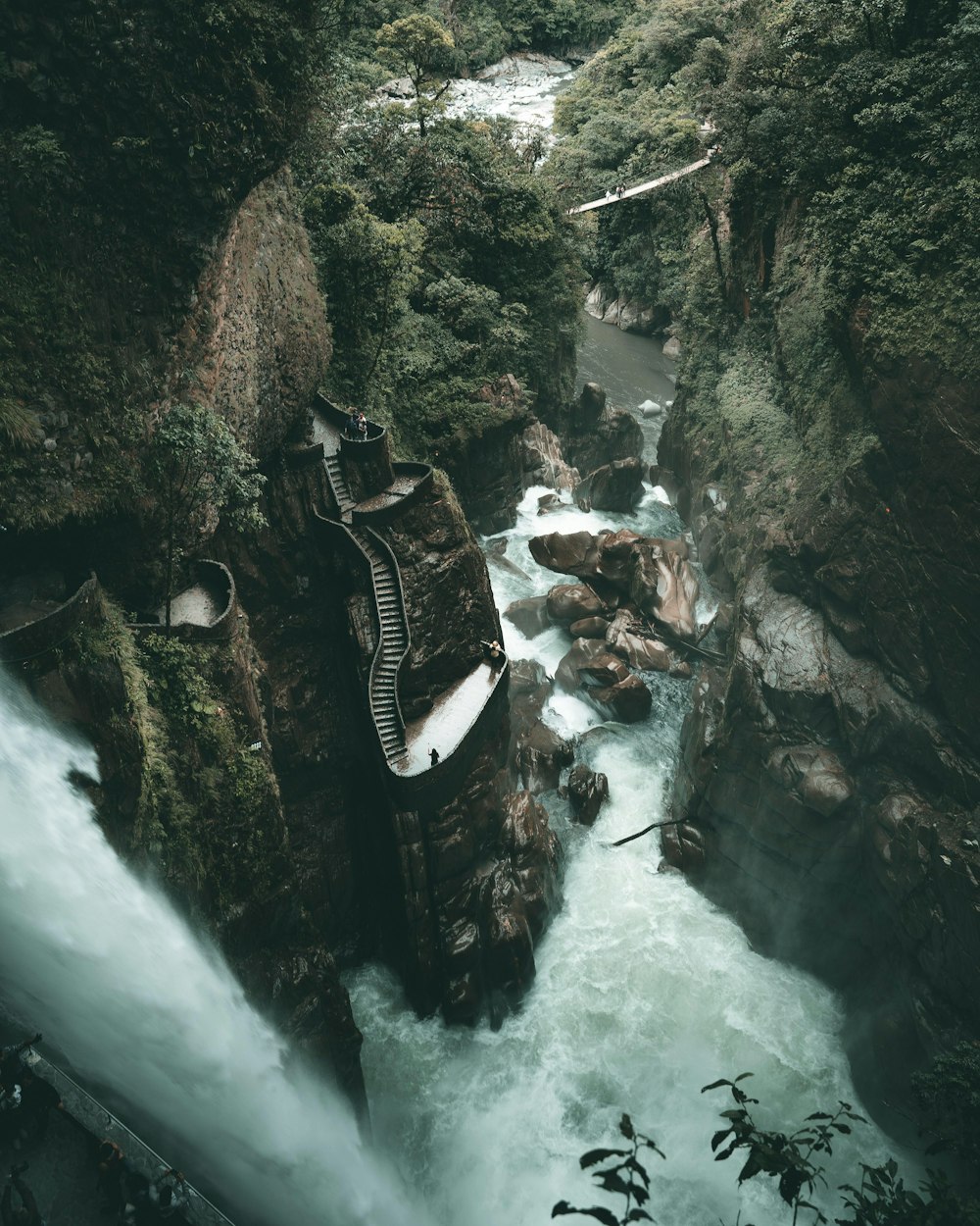 a river running through a lush green forest