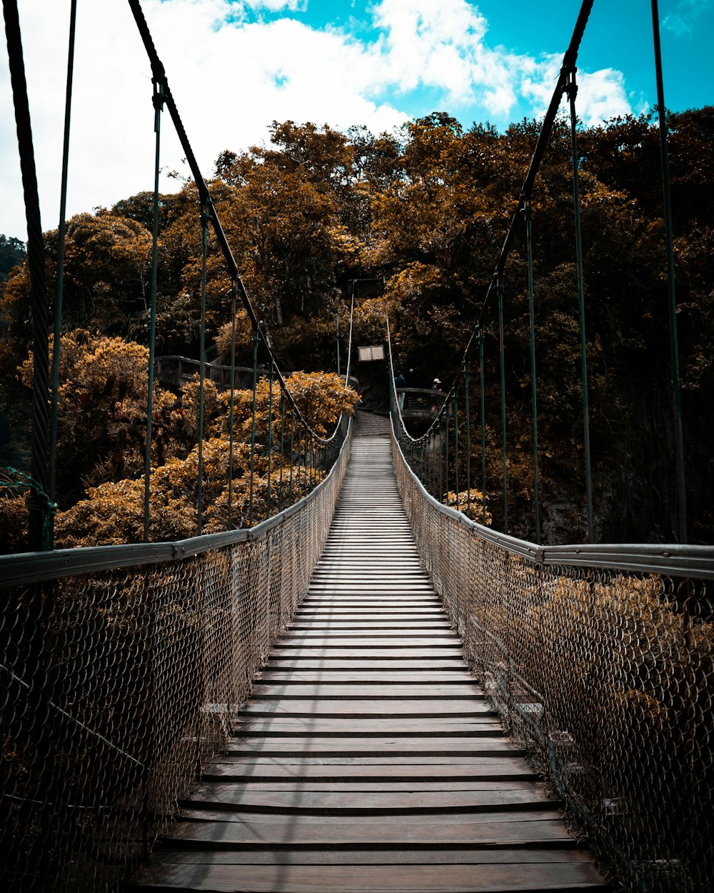 a long suspension bridge in the middle of a forest