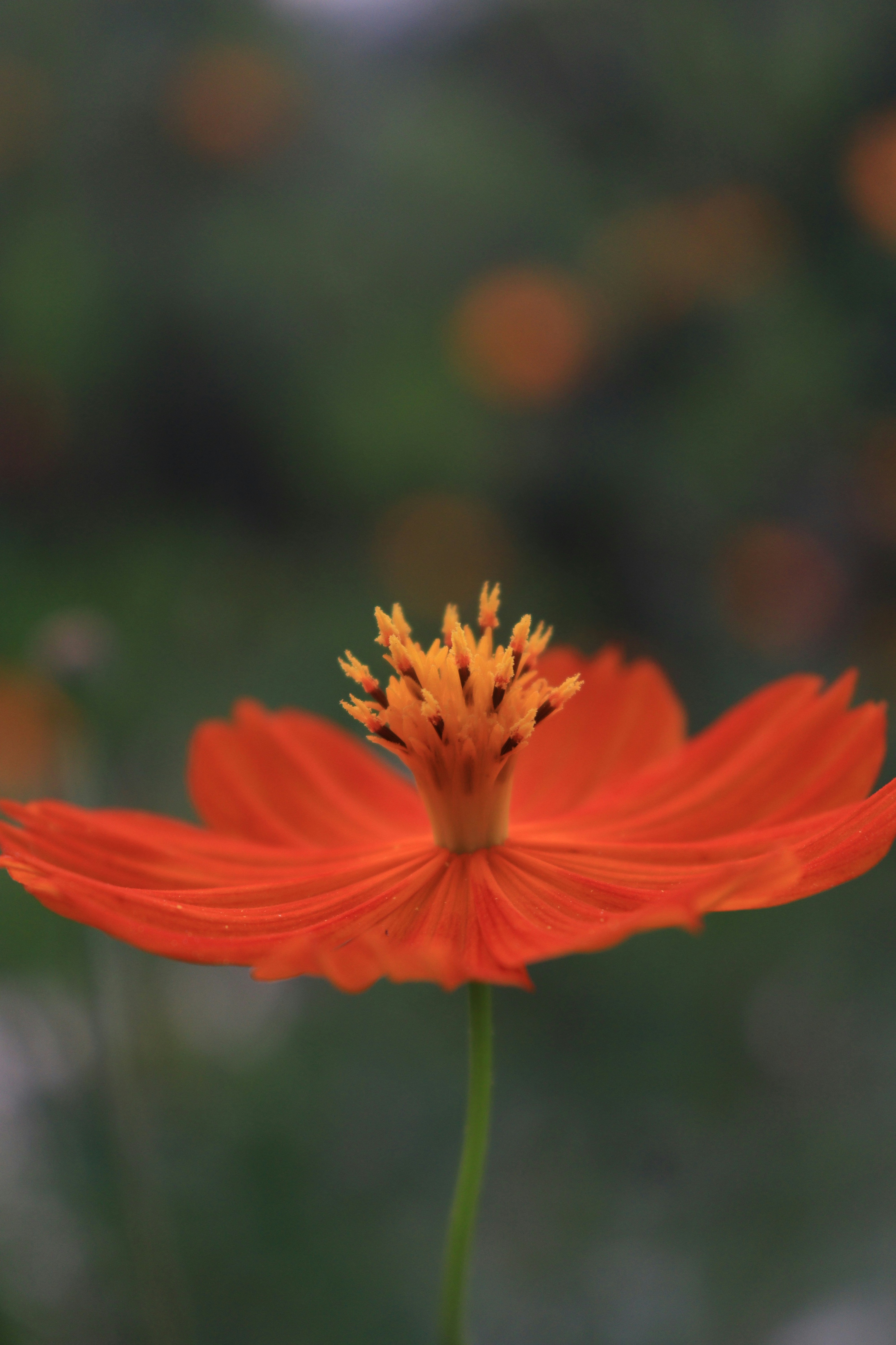 Photo by nature_click98