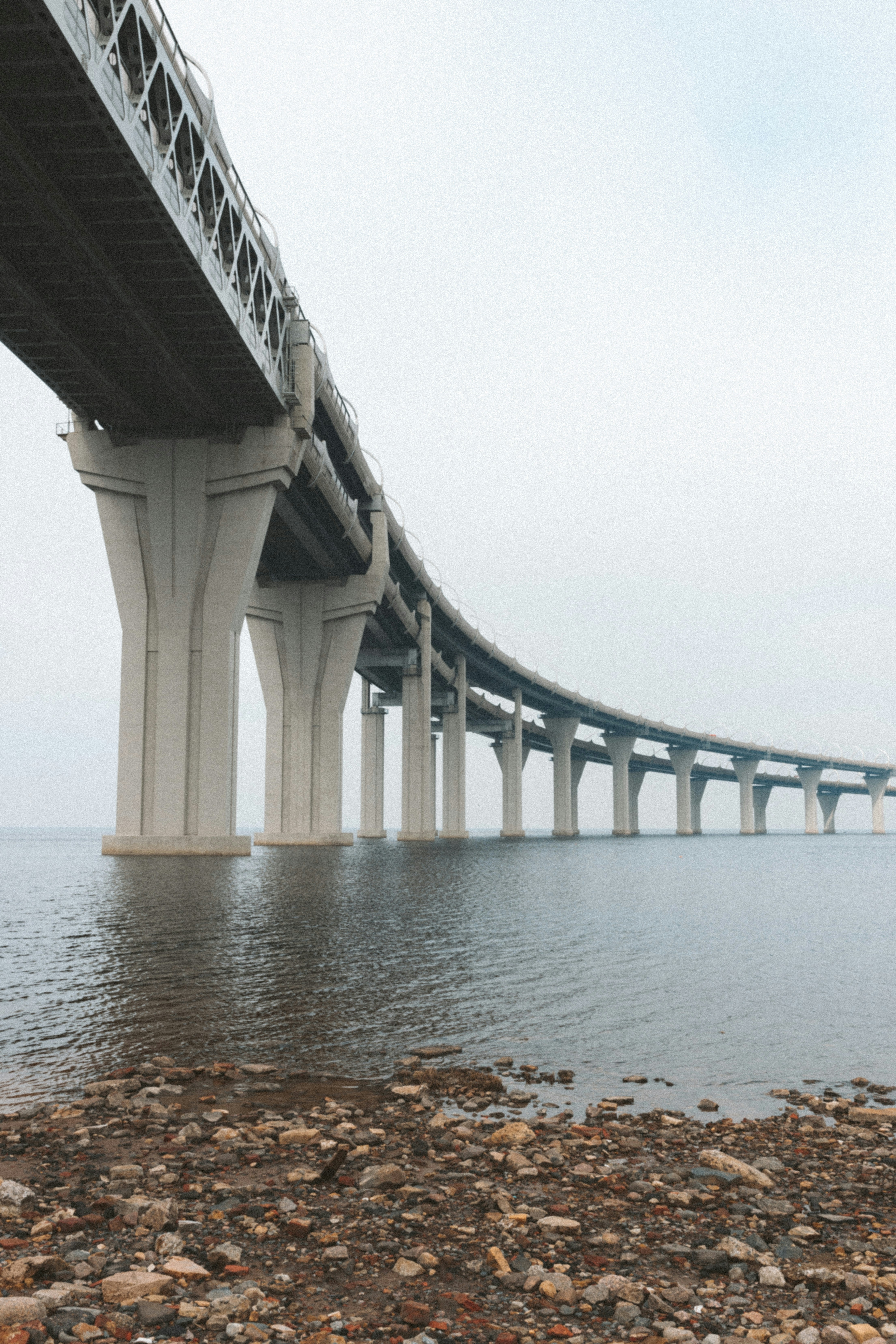 Photo by litskevich_ph