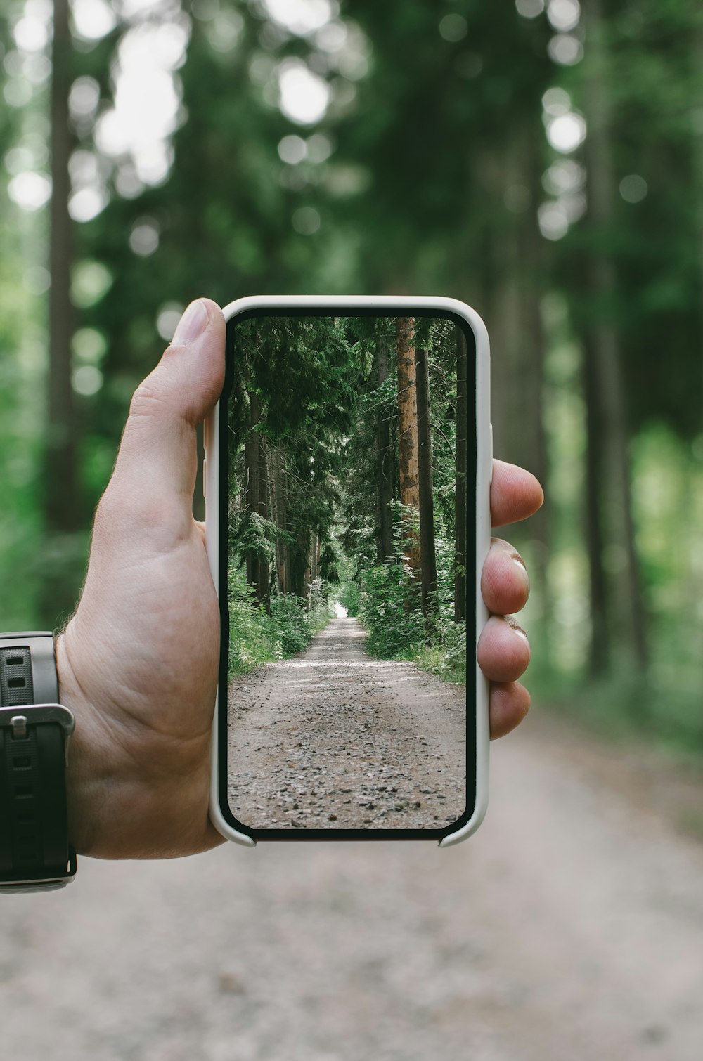 a person taking a picture of a path through the woods