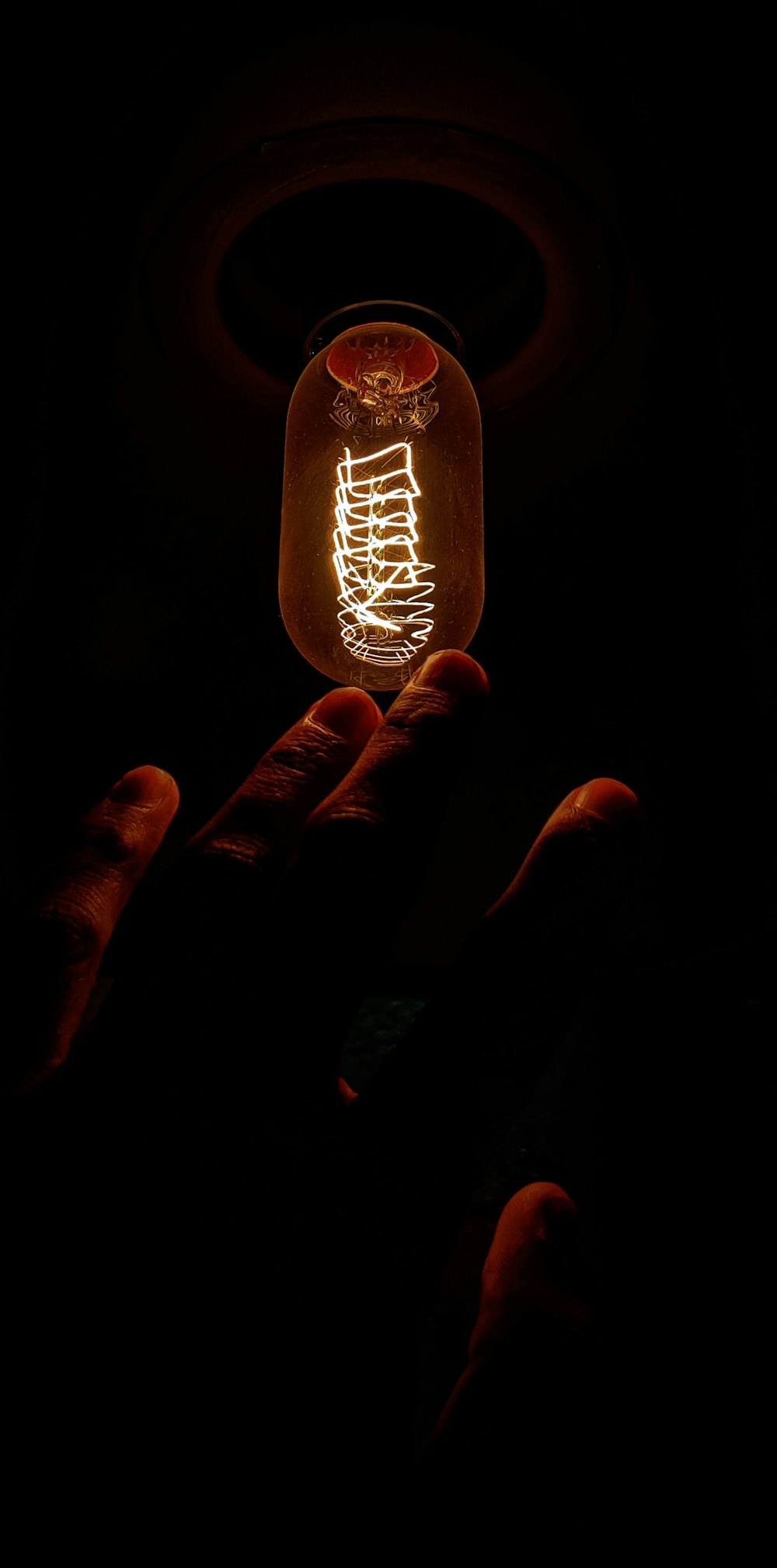 a hand holding a light bulb in the dark