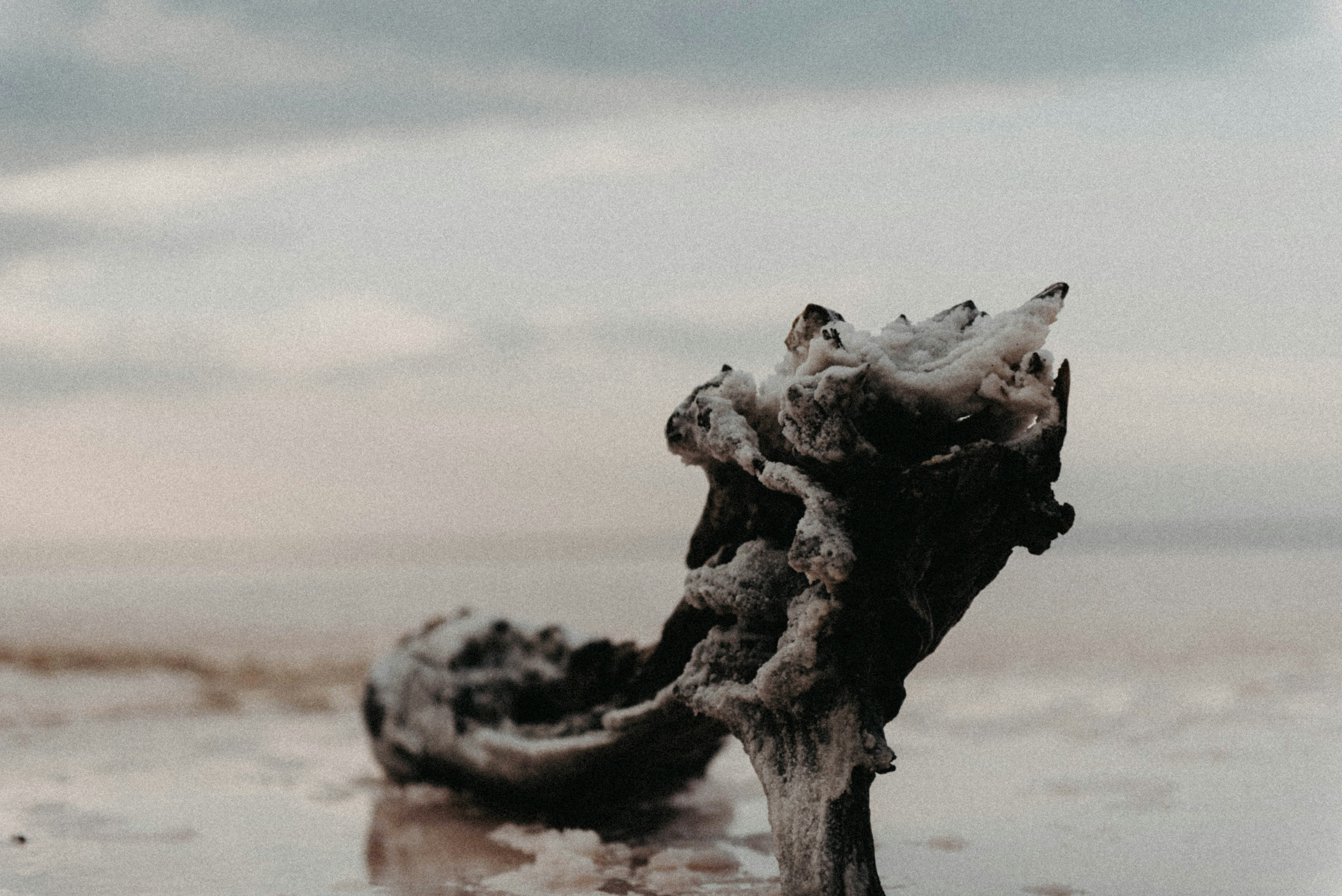 Mythes et réalités à