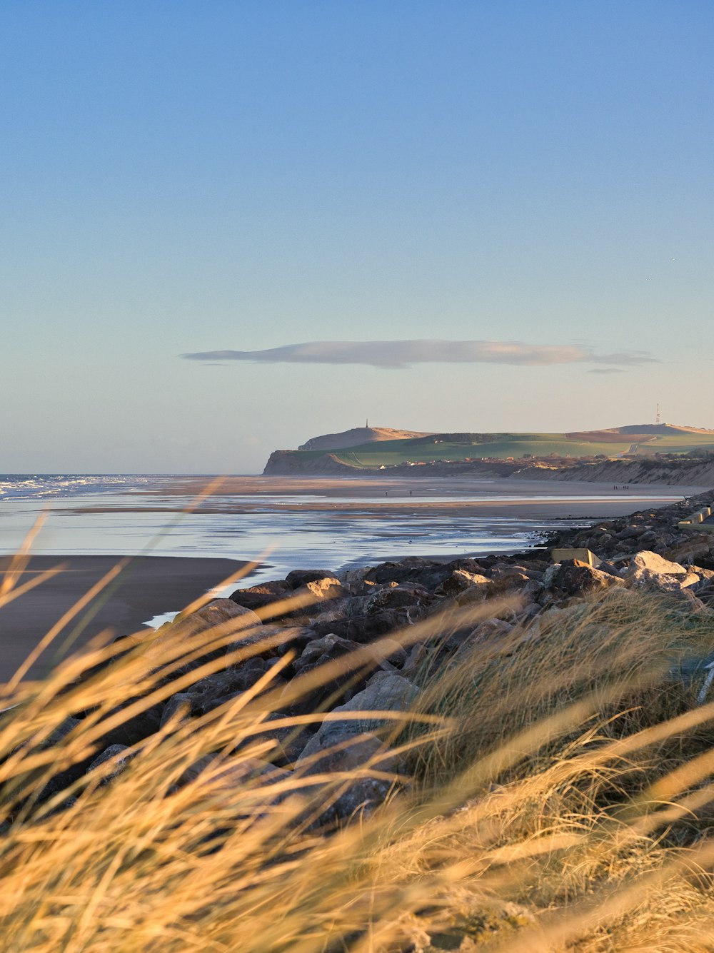 a couple of sheep standing on top of a sandy beach