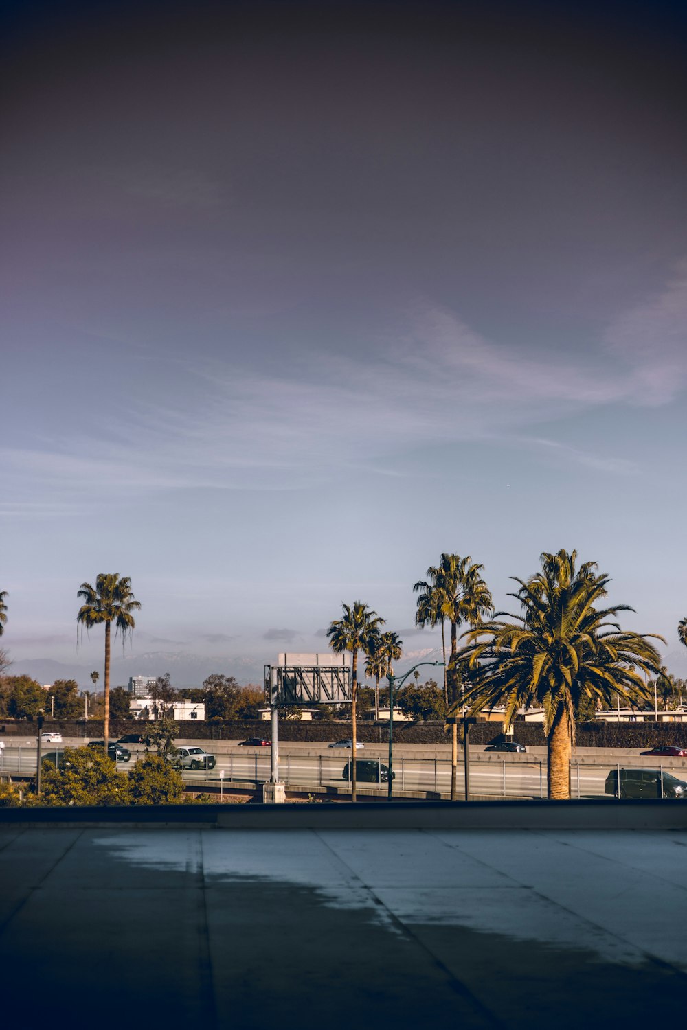 a view of a parking lot with palm trees