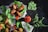 A vibrant assortment of dishes featuring kibbeh, a Middle Eastern dish made of bulgur, minced onions, and ground lean beef. The kibbeh is garnished with fresh lettuce, parsley, sliced tomatoes, and other greens. A whole tomato and fresh herbs are scattered around, enhancing the table setting.