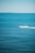 A person riding a jet ski across a vibrant blue ocean.