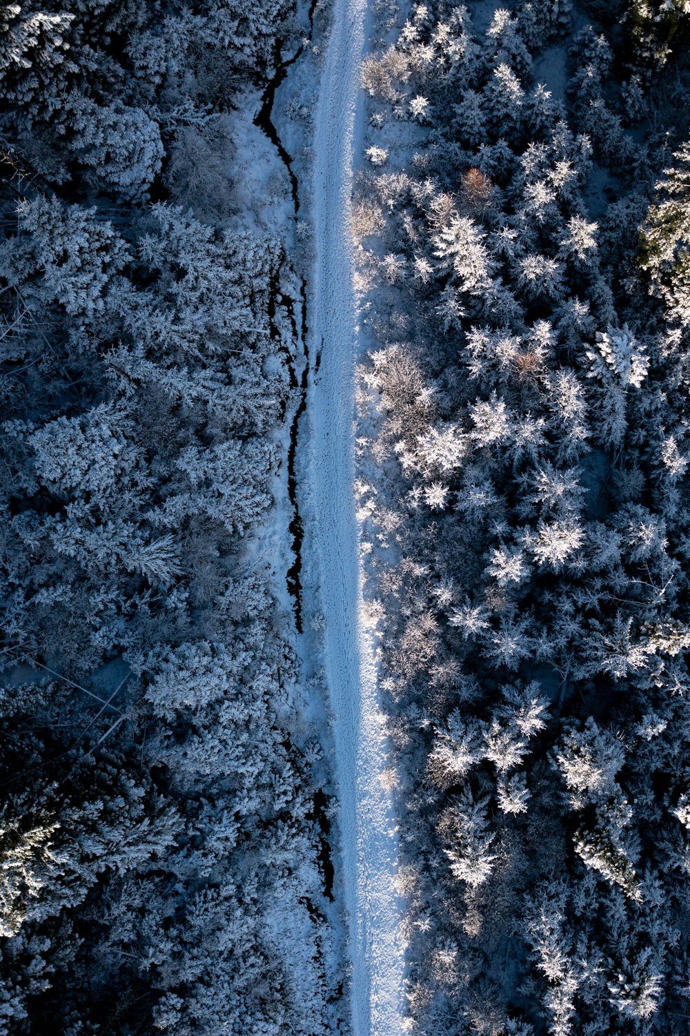 an aerial view of a snow covered forest