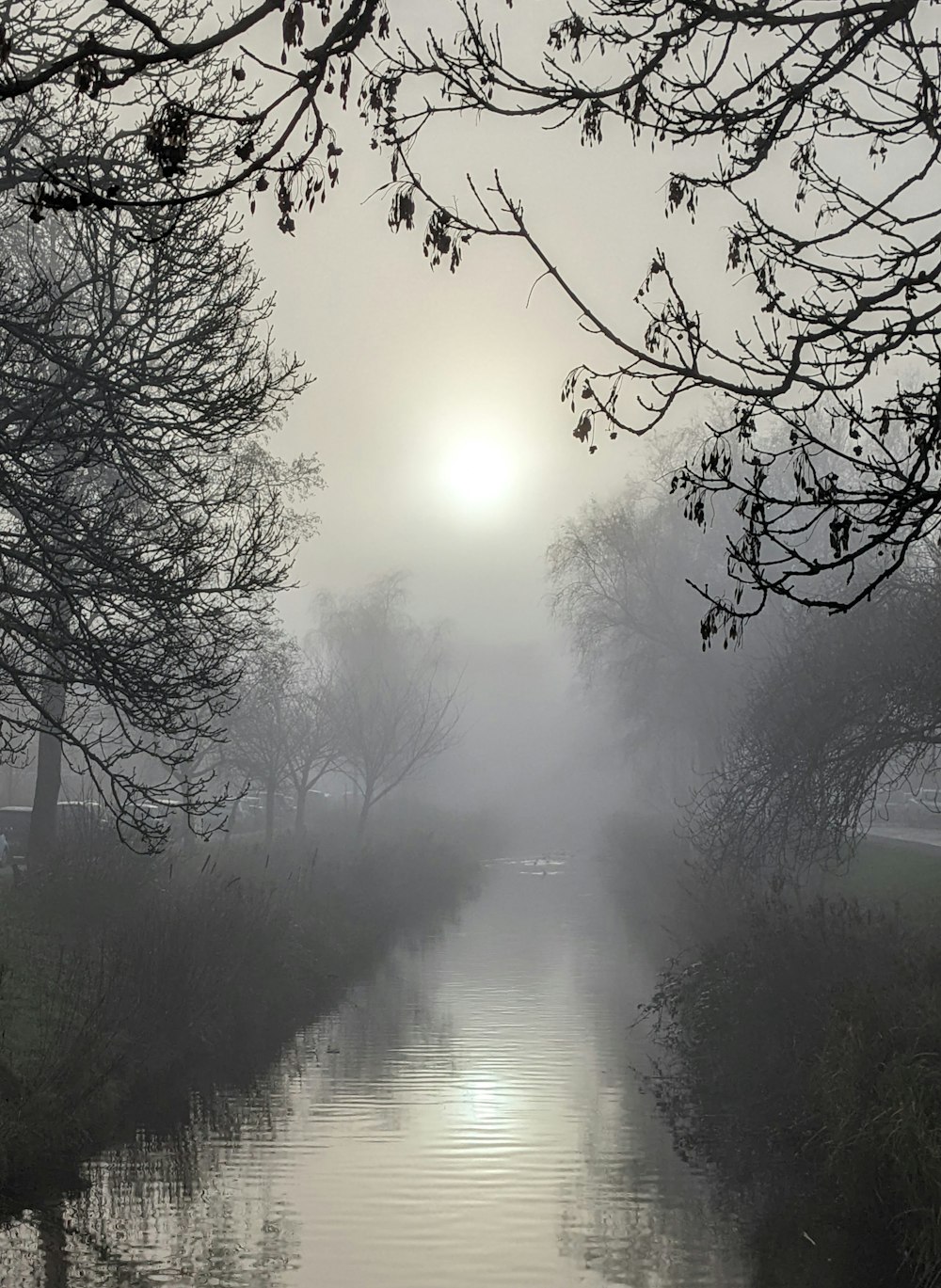 a foggy river runs through a park