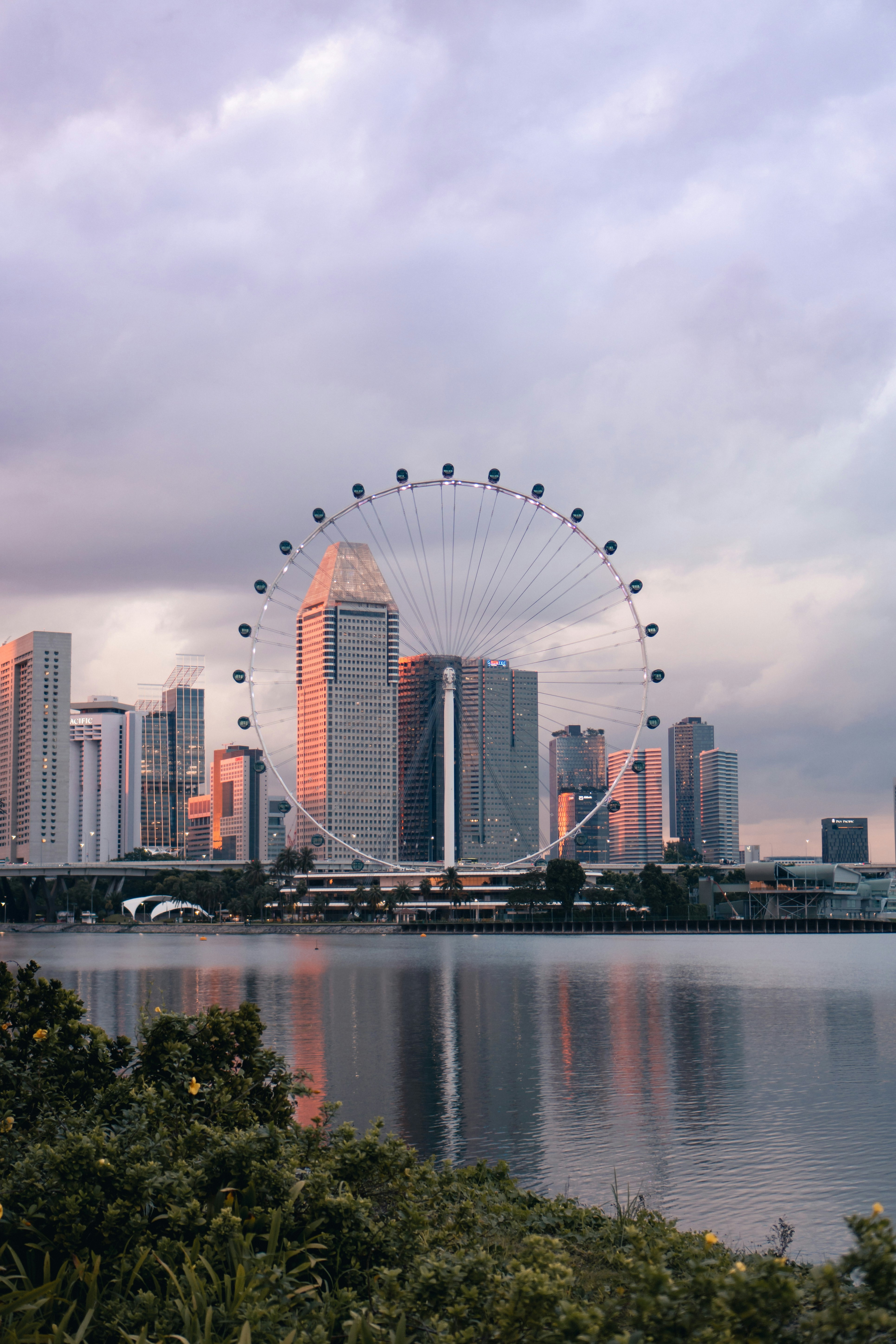 a large ferris wheel sitting in the middle of a city