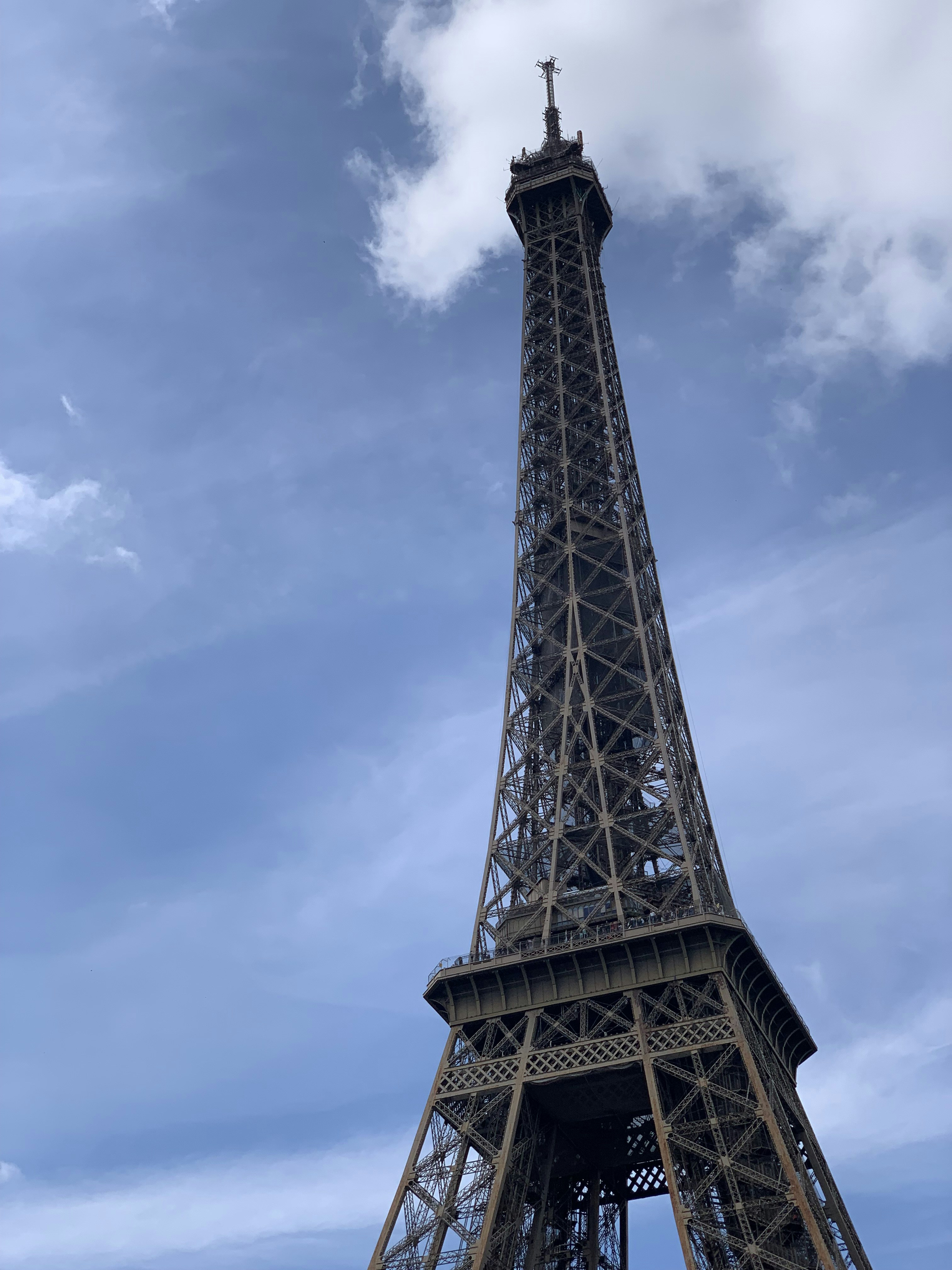 the eiffel tower towering over the city of paris