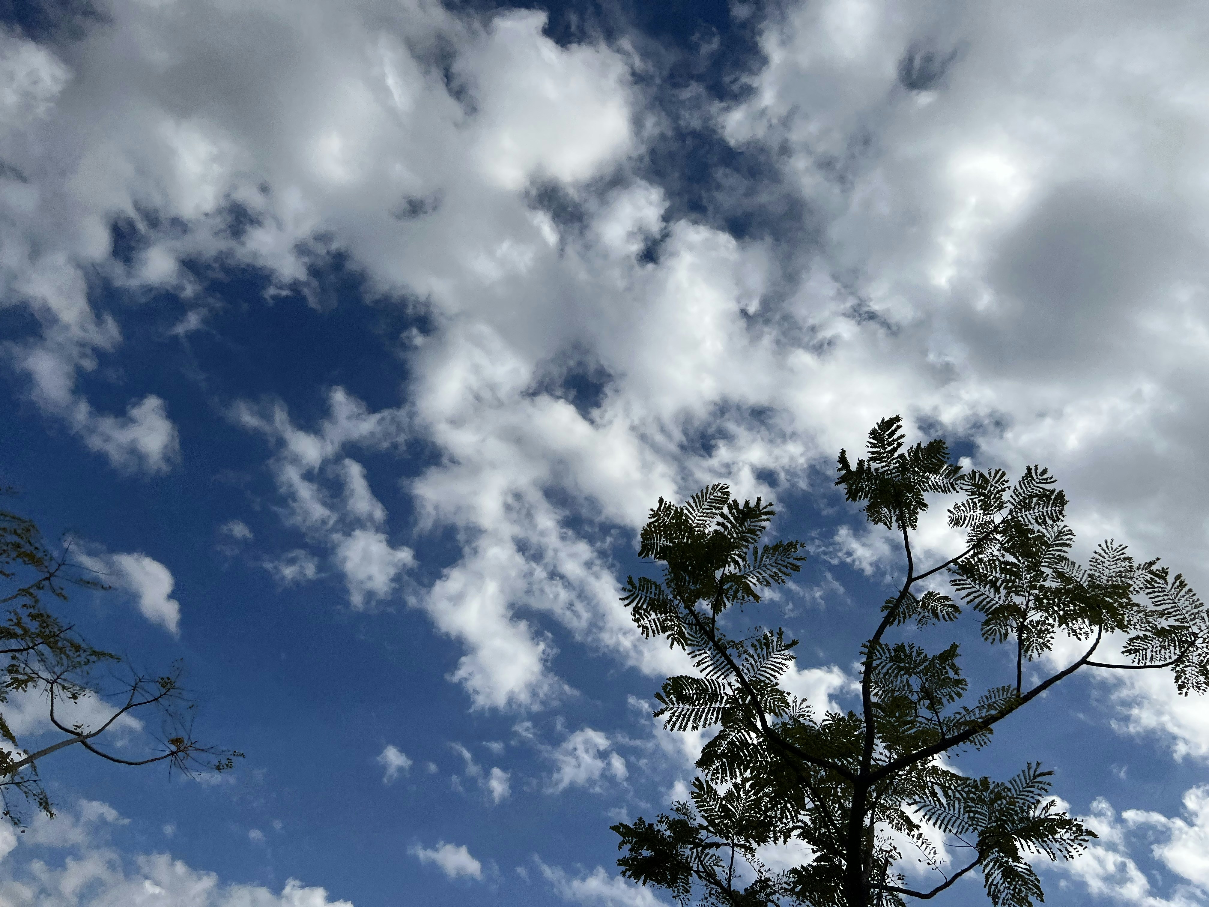 Photo by piyusharya_12