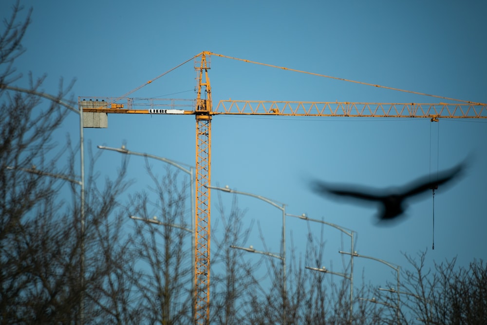 Ein Vogel fliegt über eine Baustelle mit einem Kran im Hintergrund