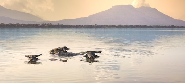 Continue on the Mekong River to Luang Prabang, Laos
