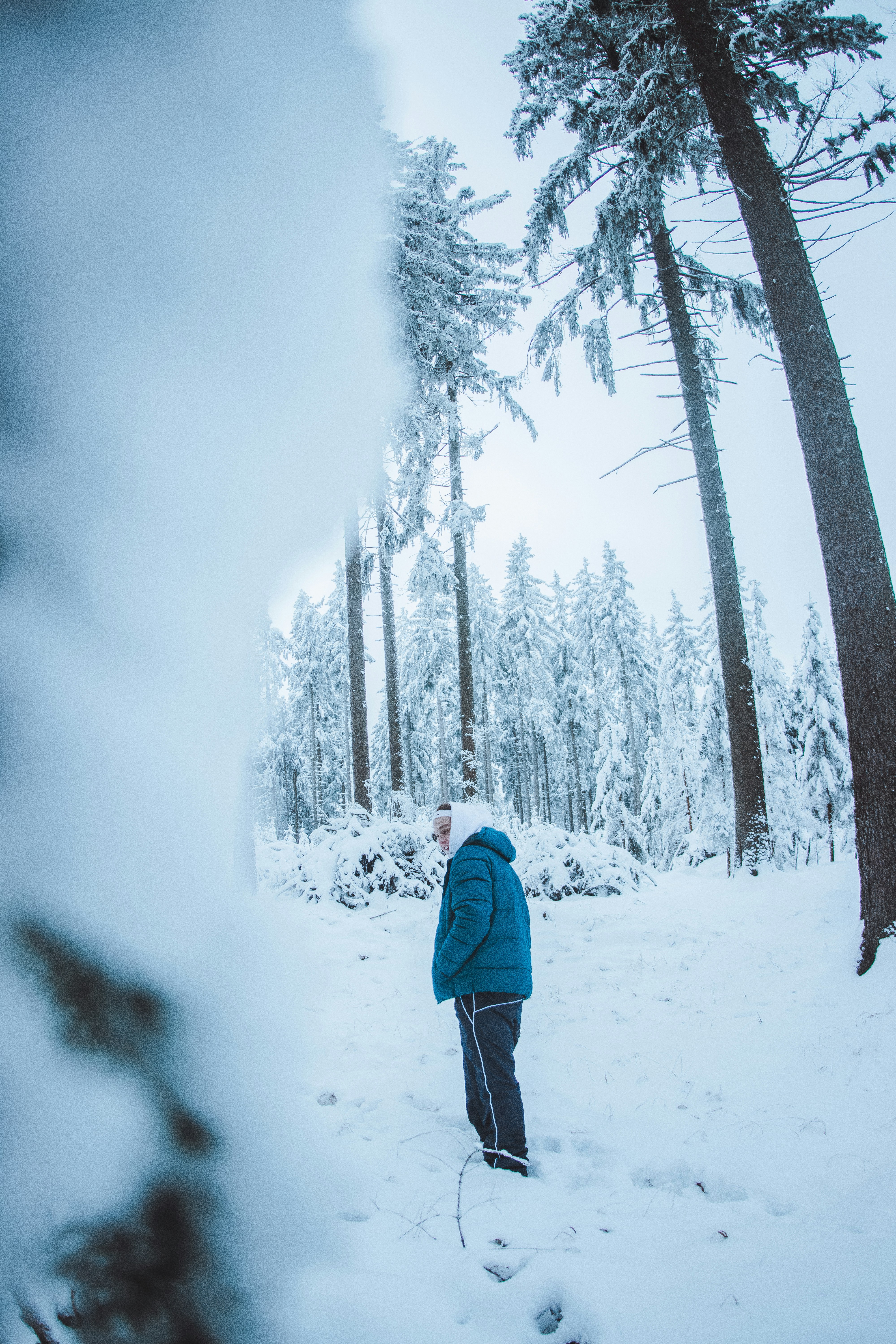 Photo by skopekmiroslav