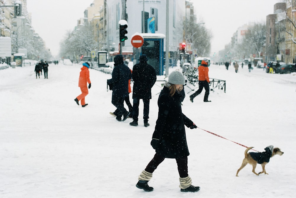 a woman walking a dog in the snow