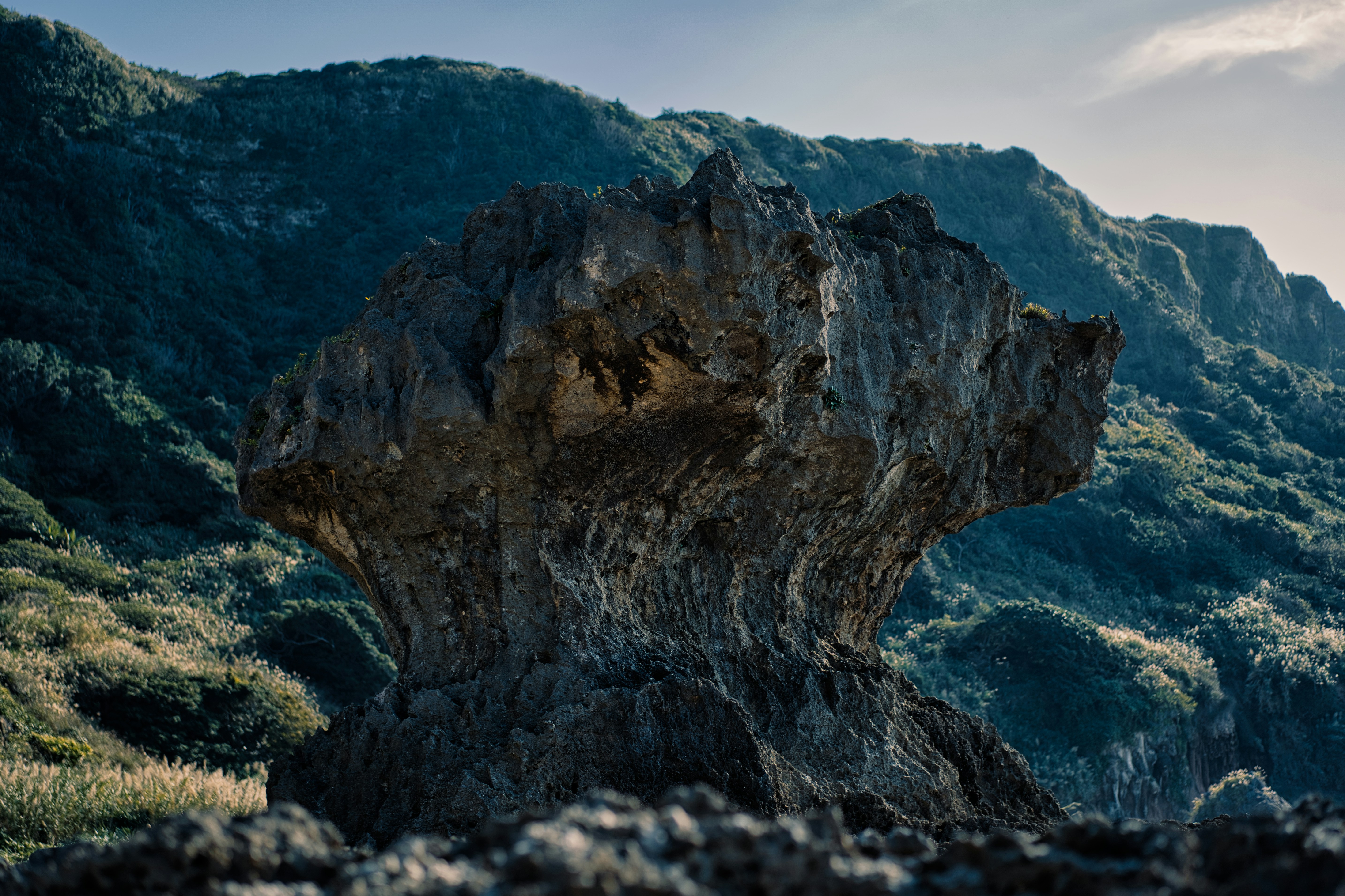 Photo by yoshihiro_jpn