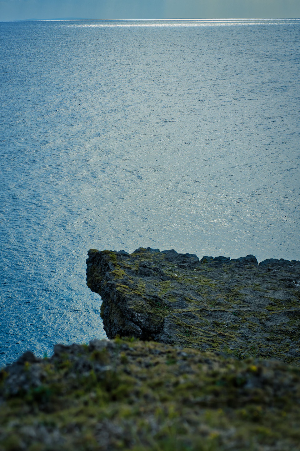 Rocky cliff edge with ocean view, green vegetation at base, and overcast sky above