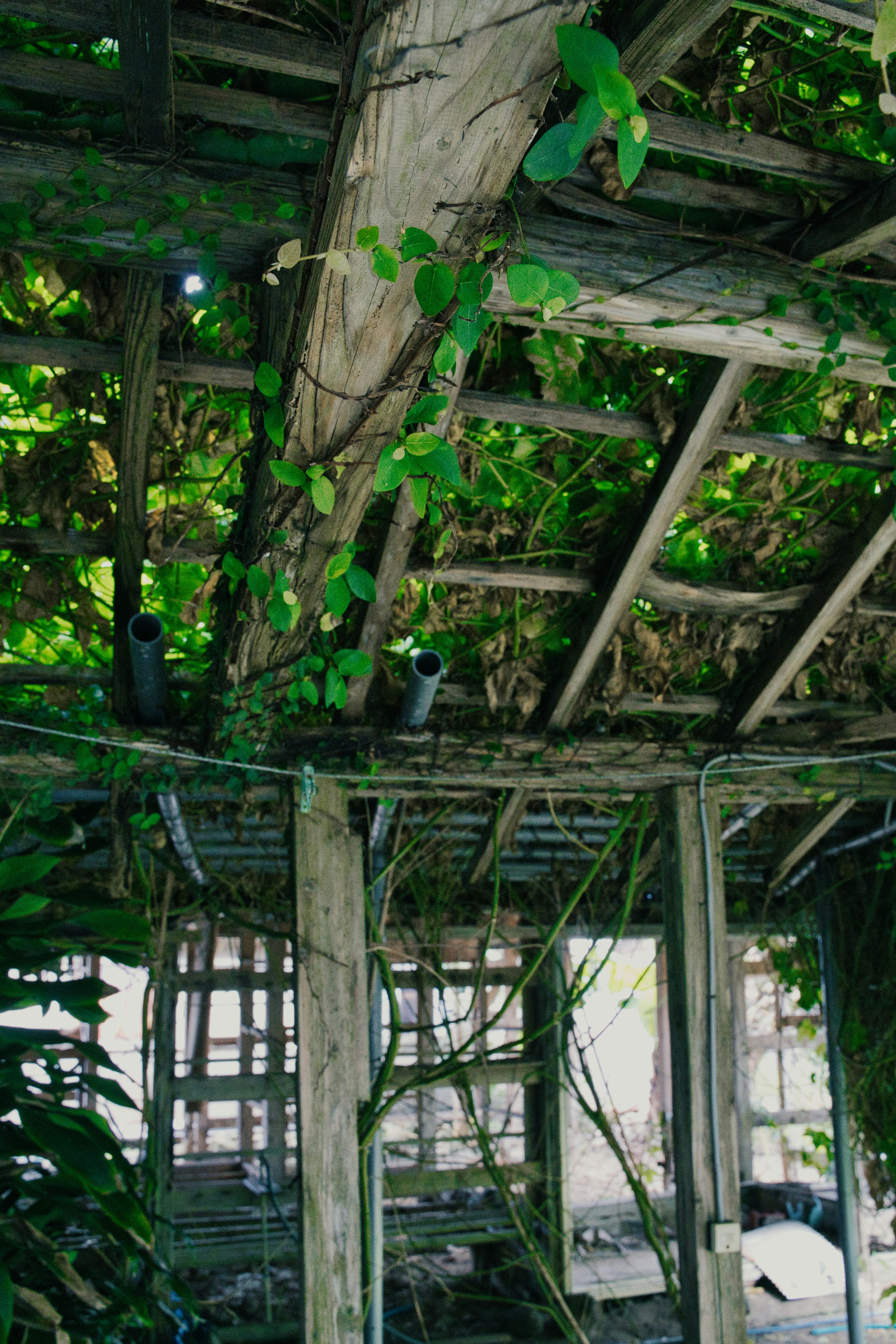 Photo by yoshihiro_jpn