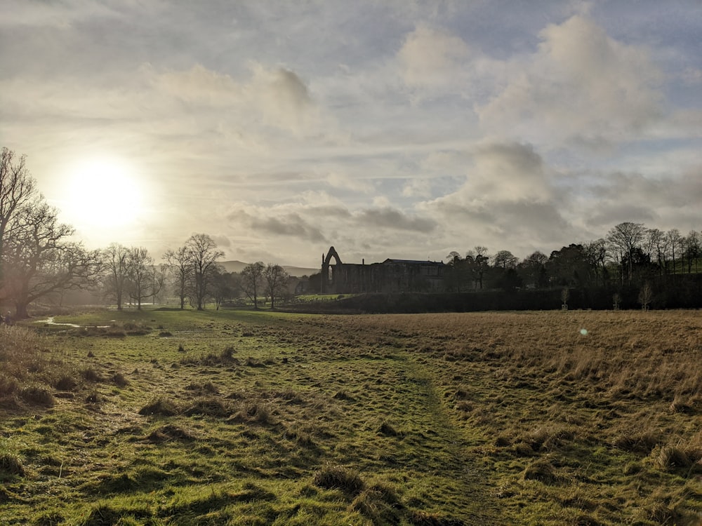 a grassy field with a building in the background