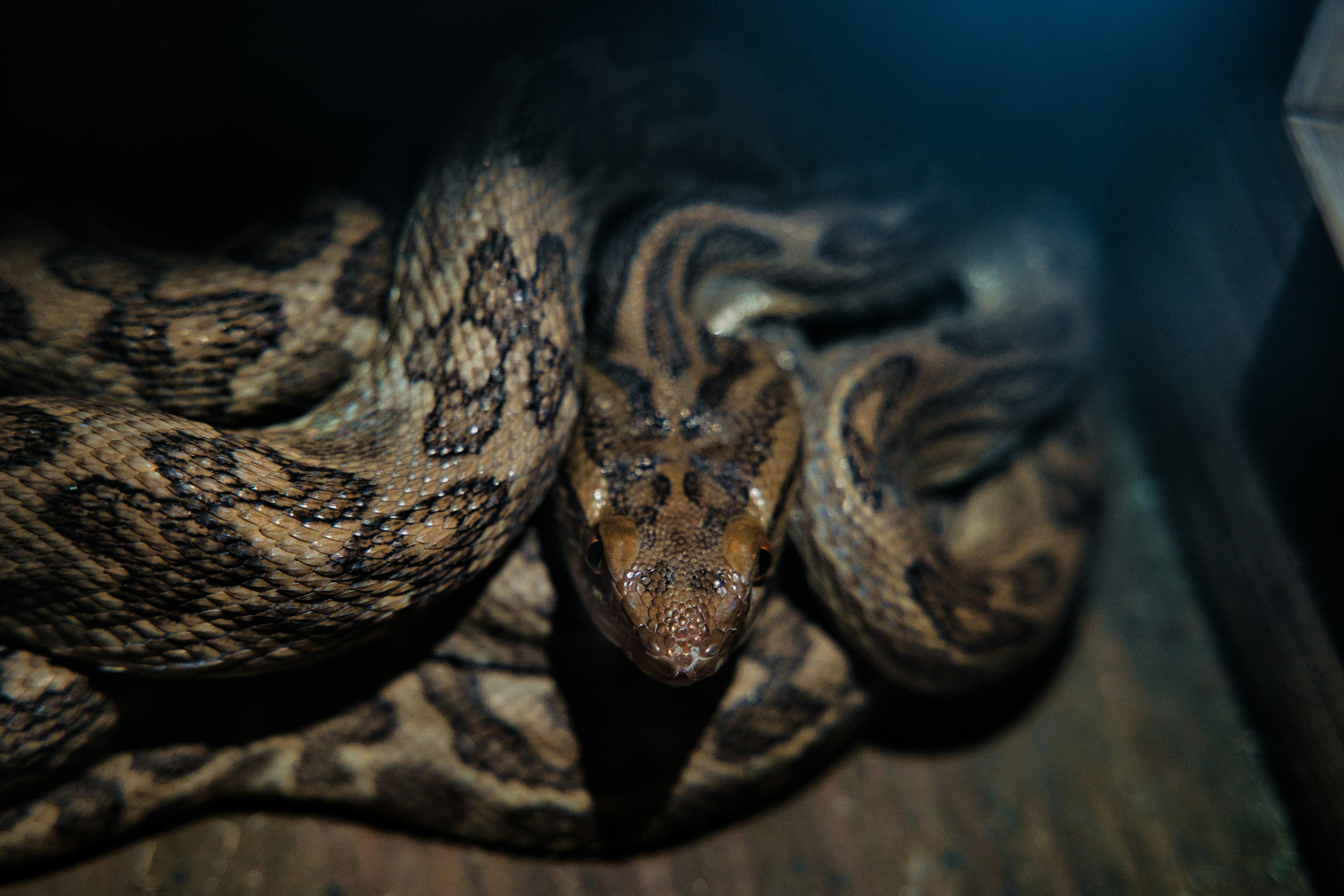 Photo by yoshihiro_jpn