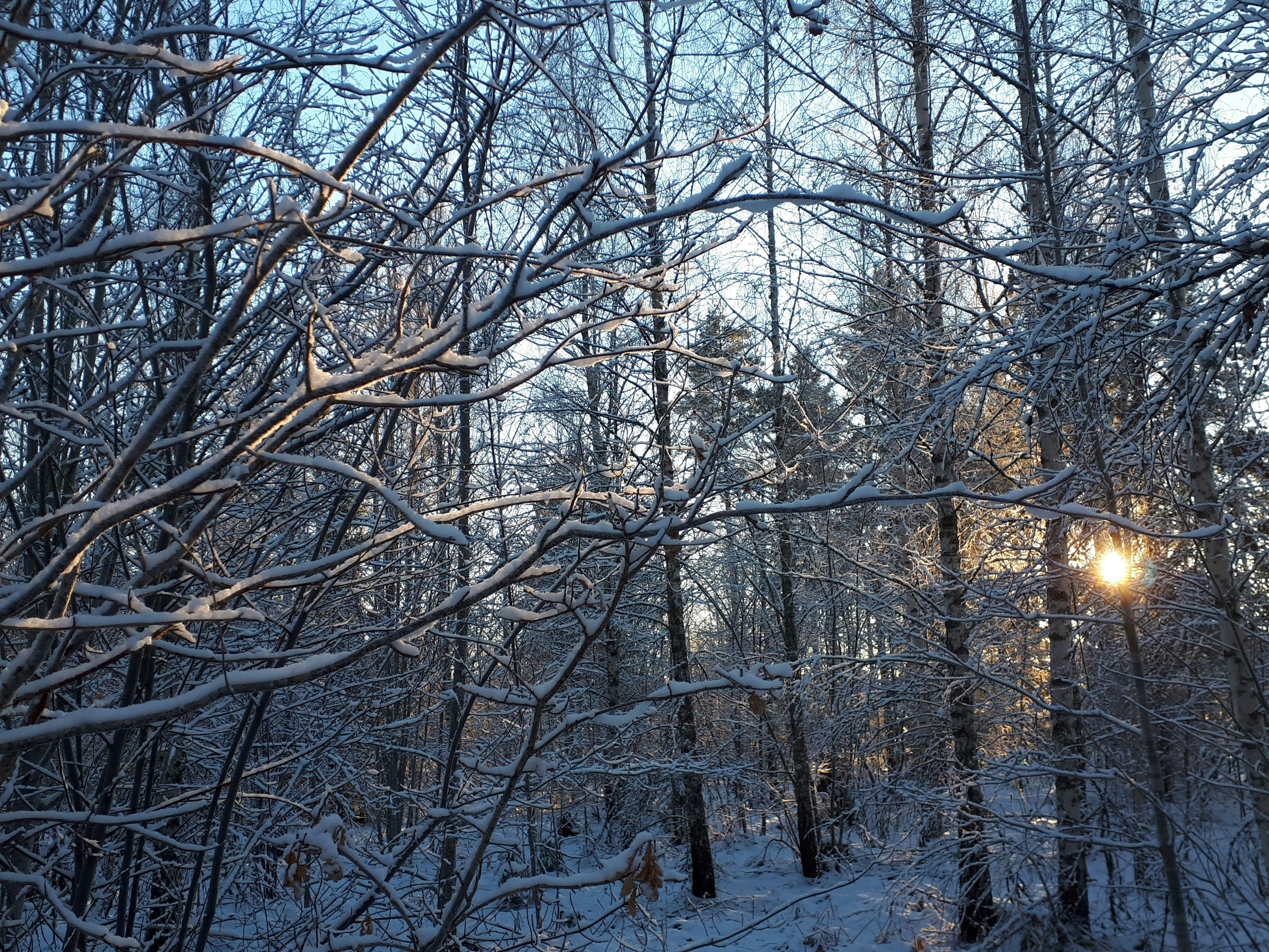 Favorite Music for Frosty Winter/Ice Levels