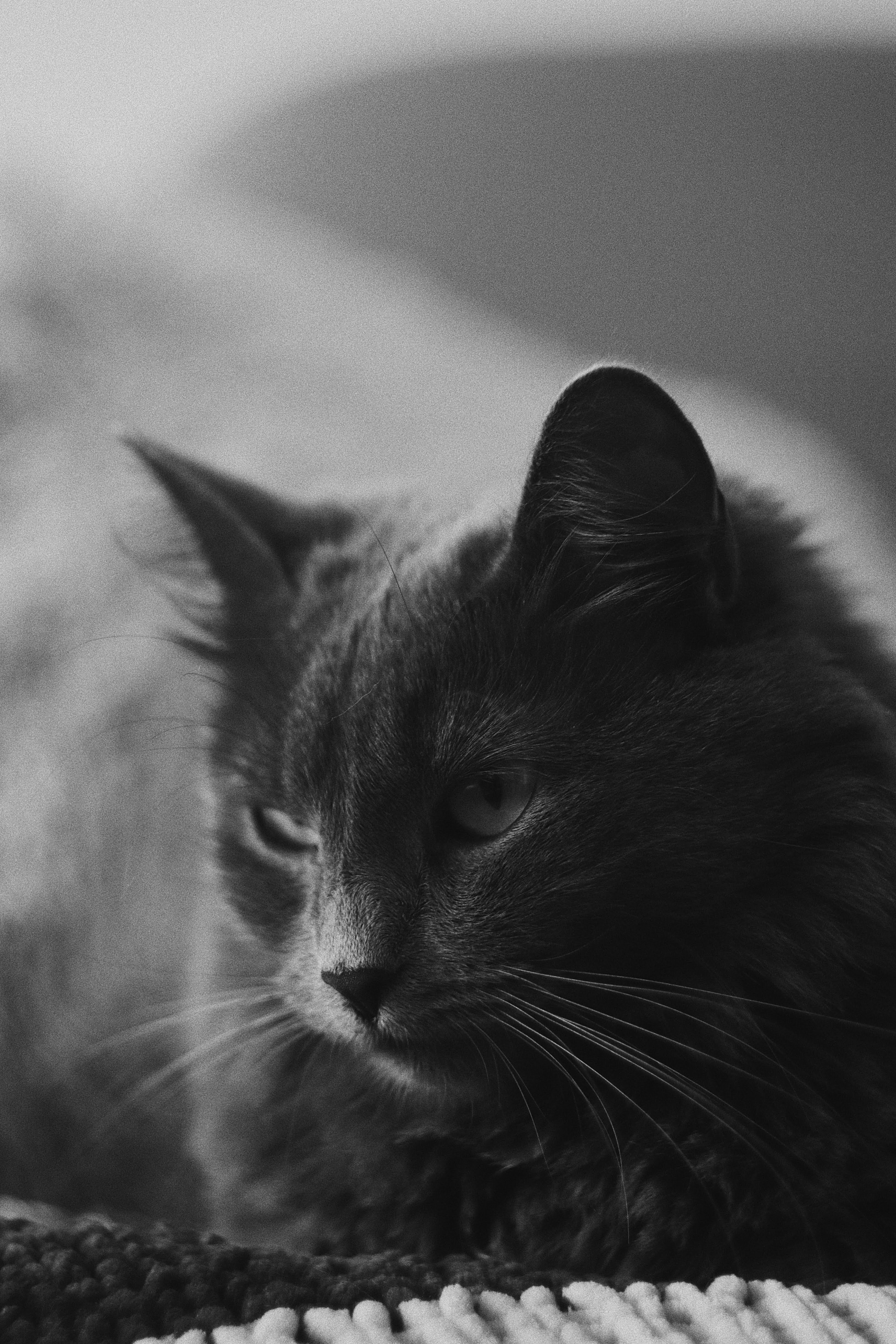 Photo by timesnewroman14