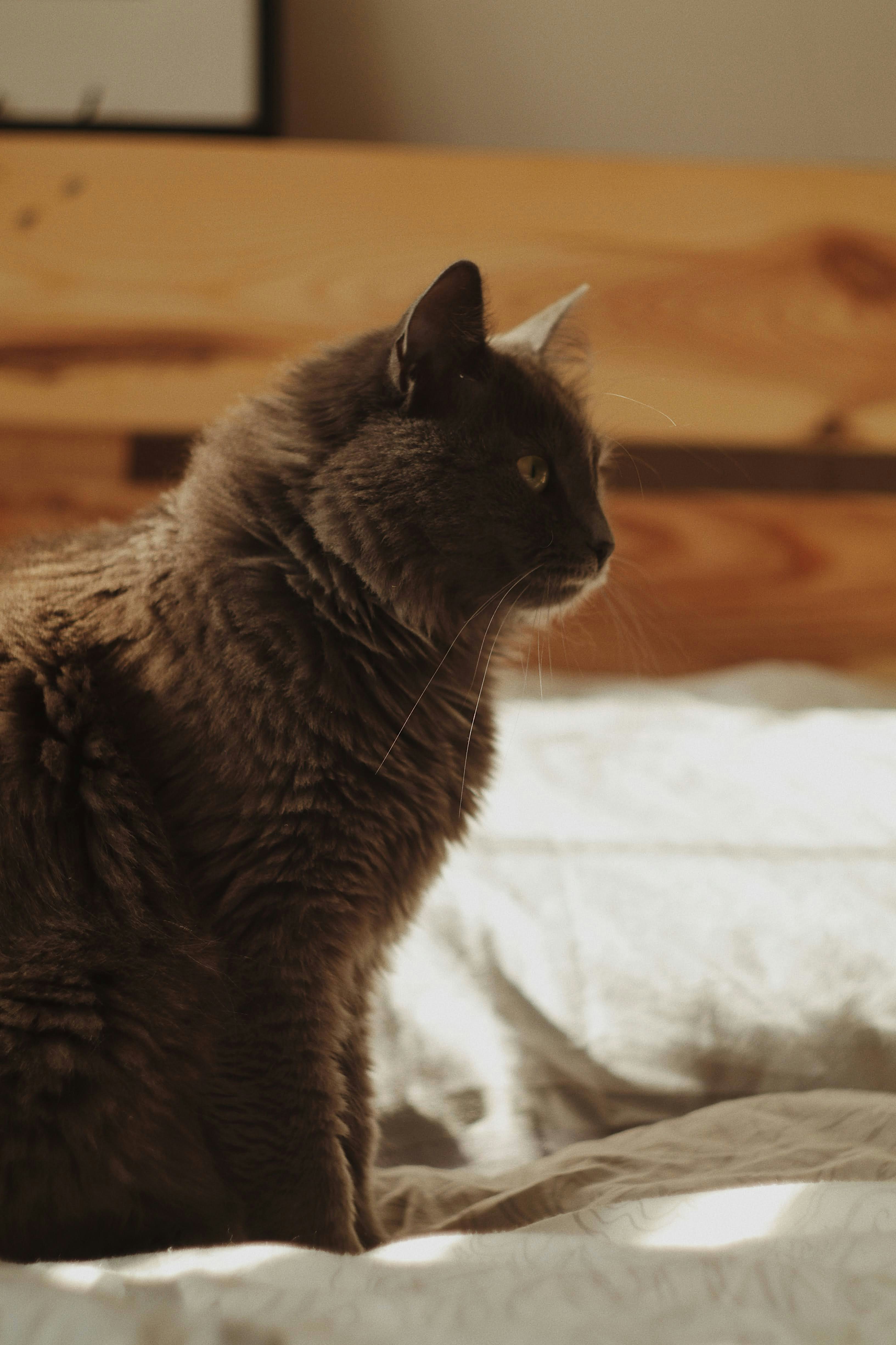 Photo by timesnewroman14