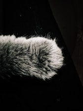 A close-up of a furry paw with a mix of light and dark hairs. The paw appears to rest on a dark surface, possibly fabric.