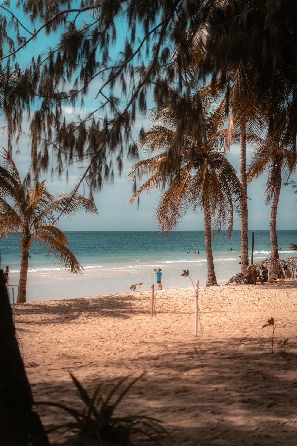 a beach with palm trees and a volleyball court