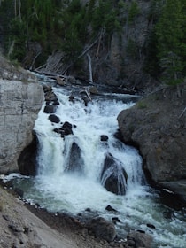 A natural waterfall flows between rocky cliffs surrounded by dense evergreen forest. The water cascades over a series of large dark rocks and creates white foamy currents. The rugged terrain and fallen logs add to the wild and untouched appearance of the landscape.