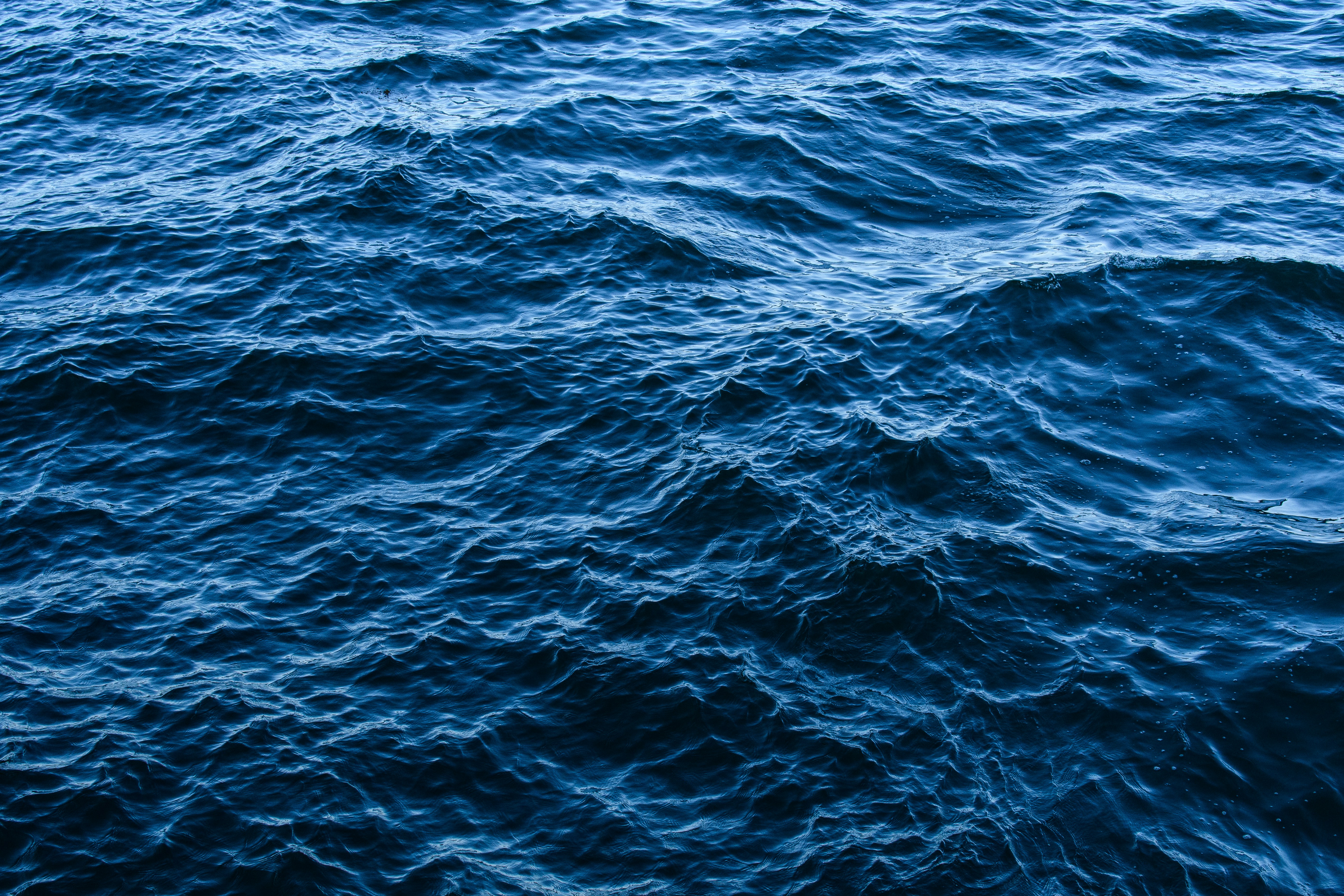 Photo by thenerdymillennial