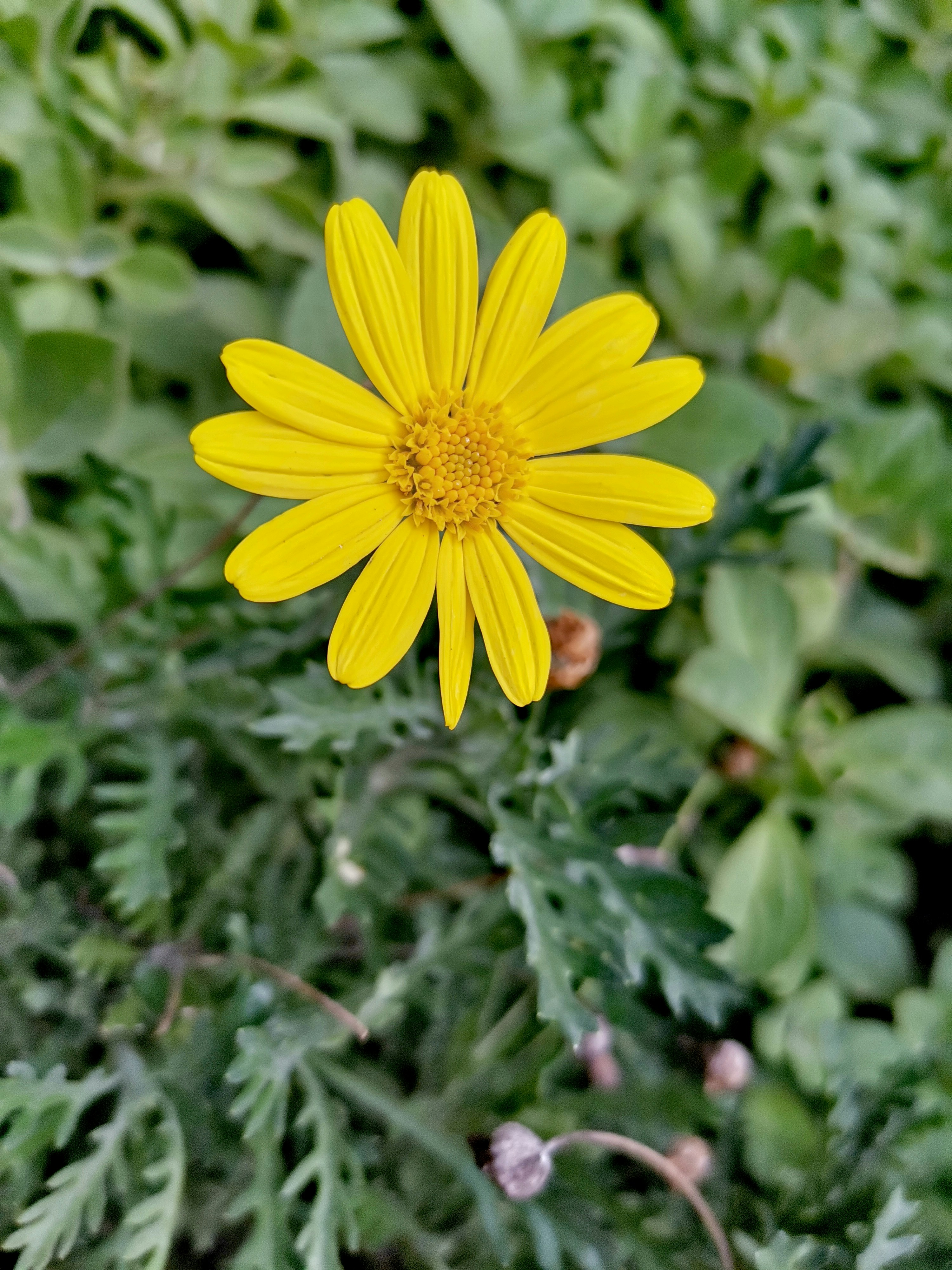 Photo by winterphoenix