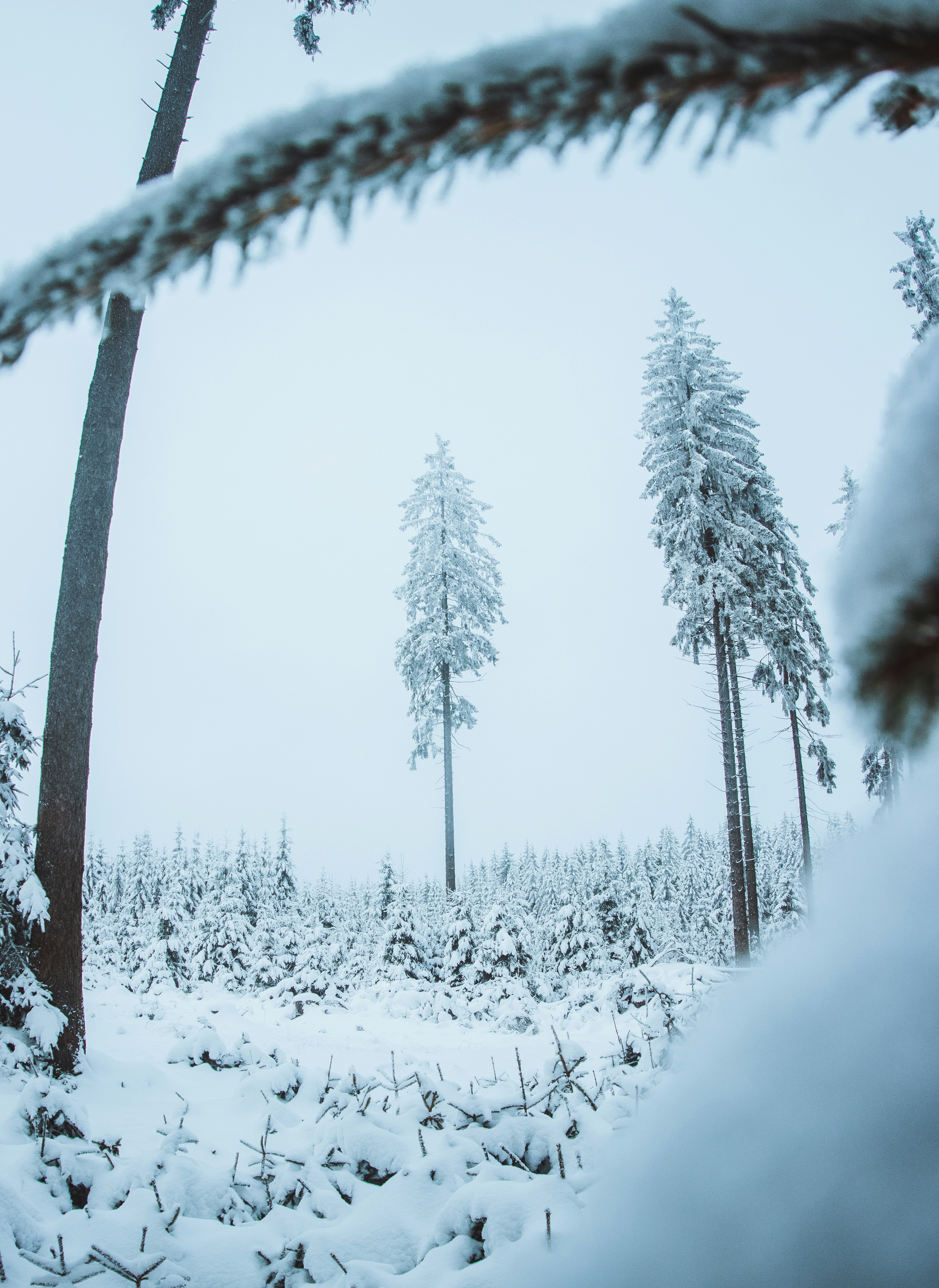 Photo by skopekmiroslav