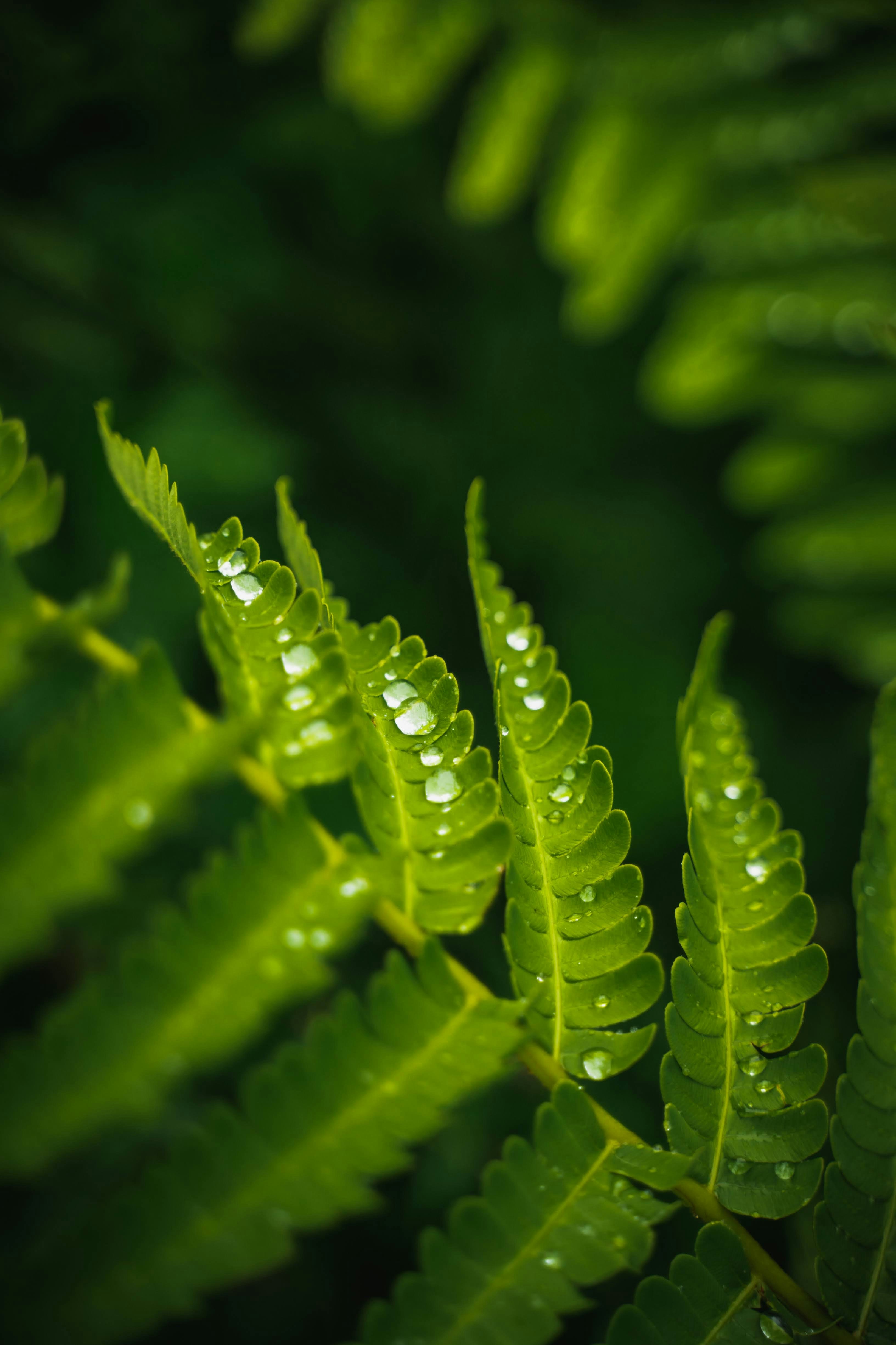 Photo by chiraggakhar1