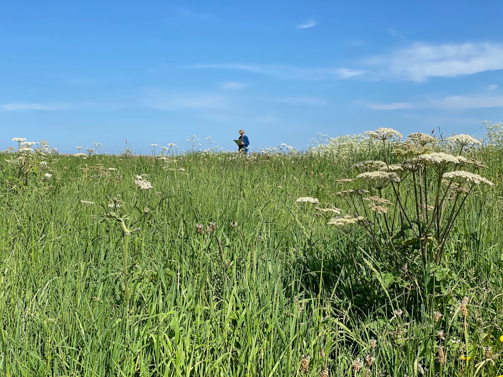 a man riding a horse through a lush green field