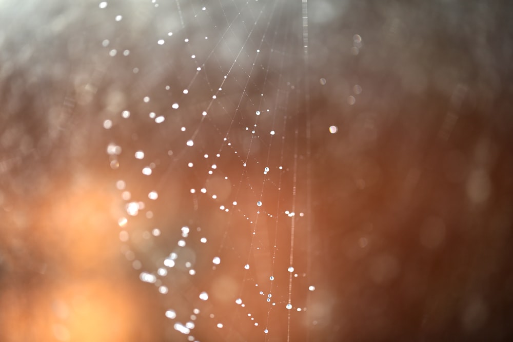 a close up of a spider web on a window