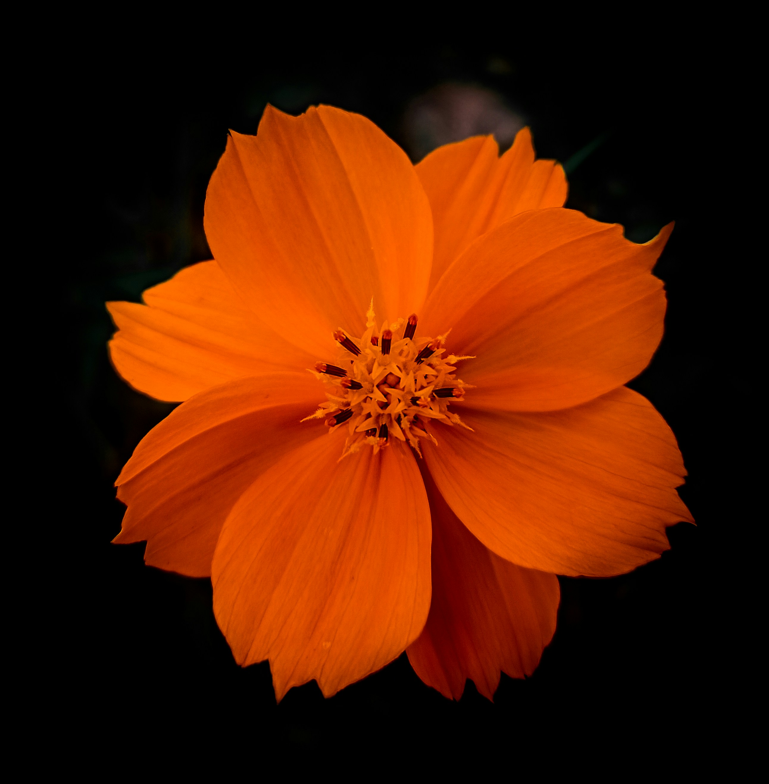 Photo by real_alok25