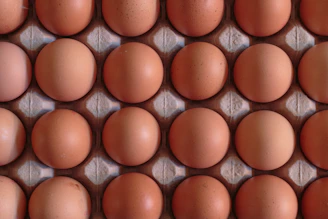 a bunch of brown eggs in a carton
