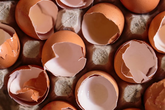 Cracked empty eggshells in an egg tray