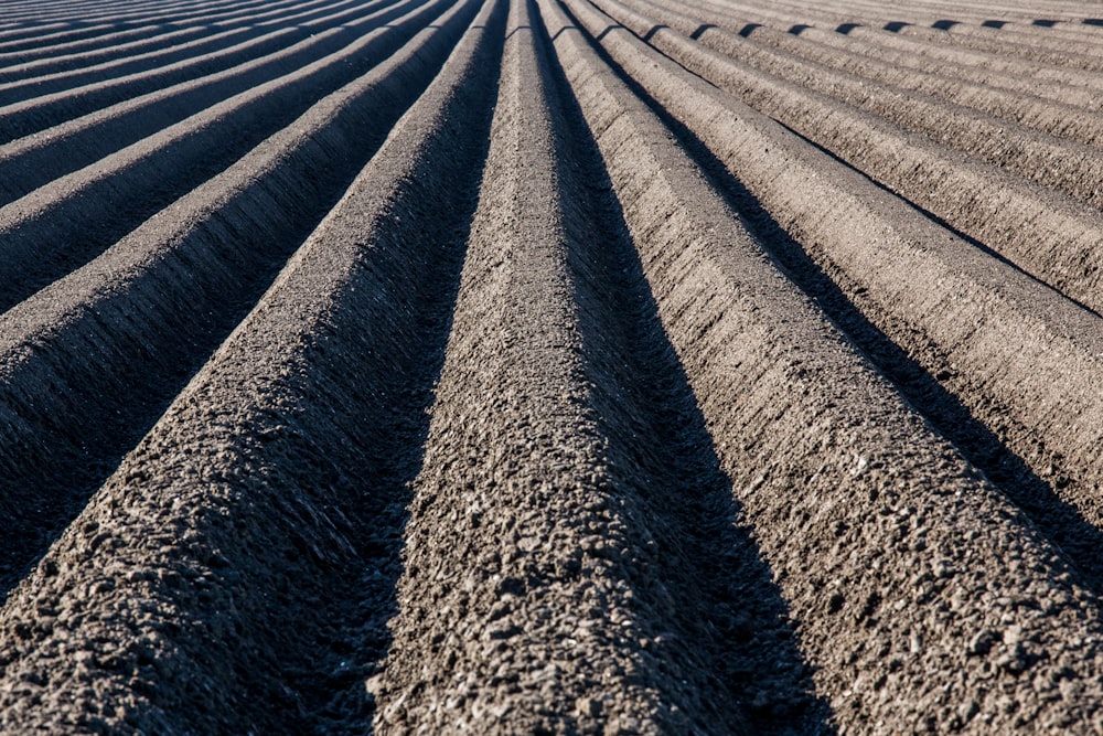 a row of rows of dirt in the middle of a field