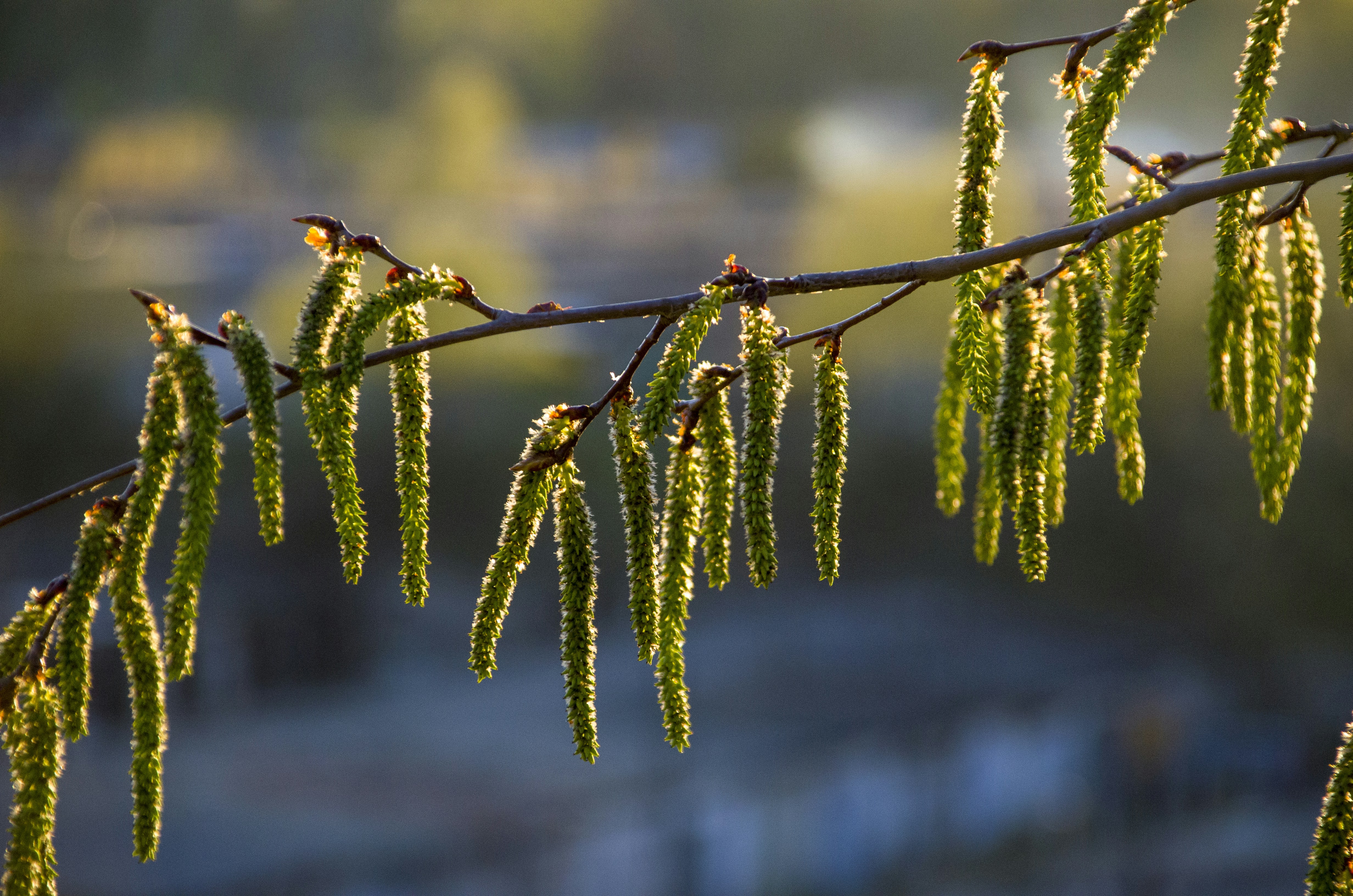 Photo by aleksandr_2022