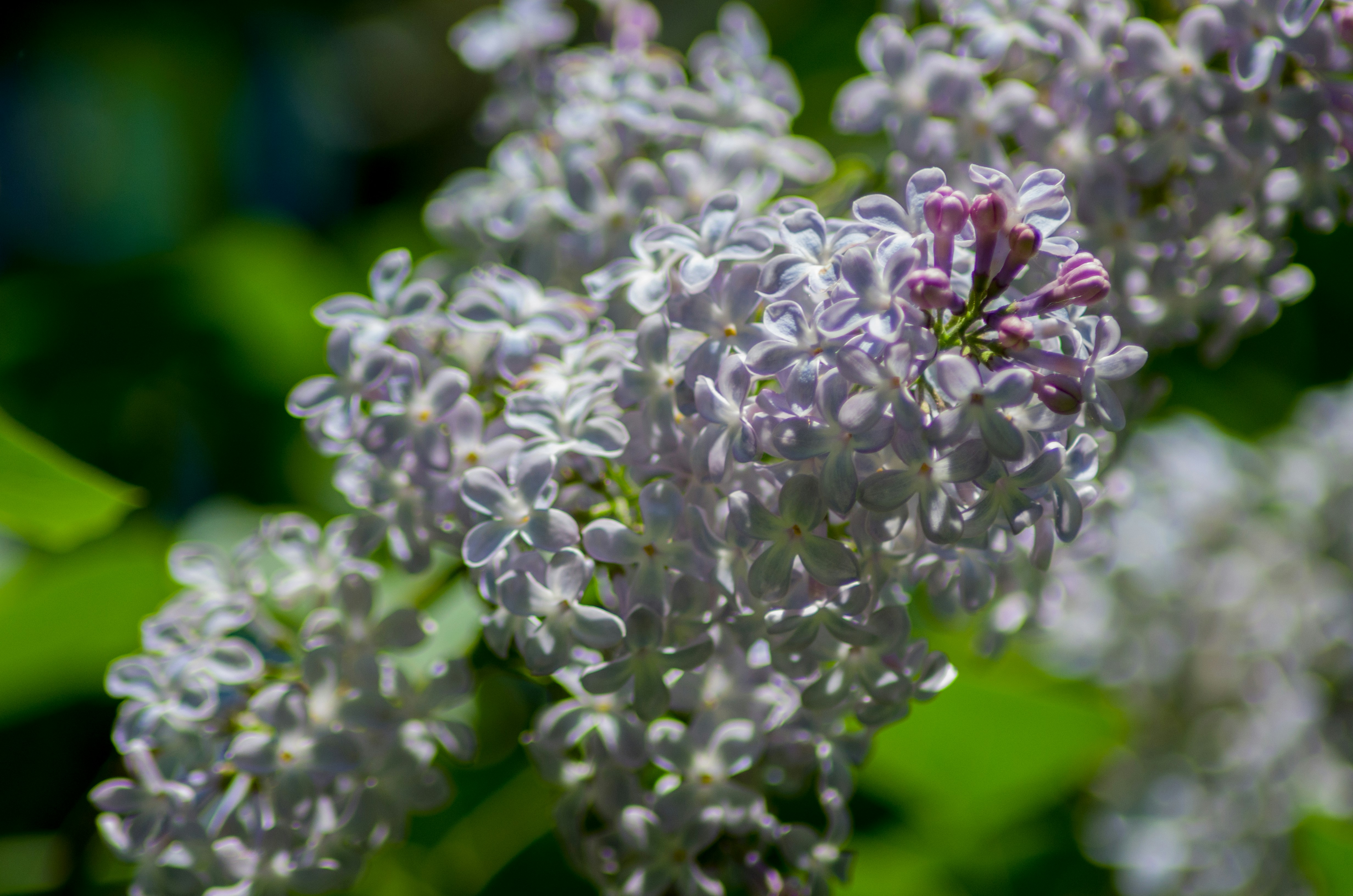 Photo by aleksandr_2022